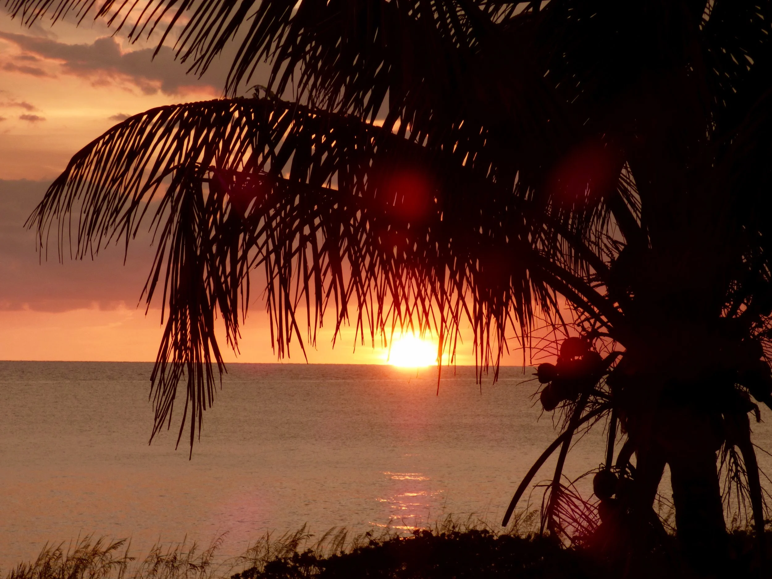 Some of the best sunsets in Florida!