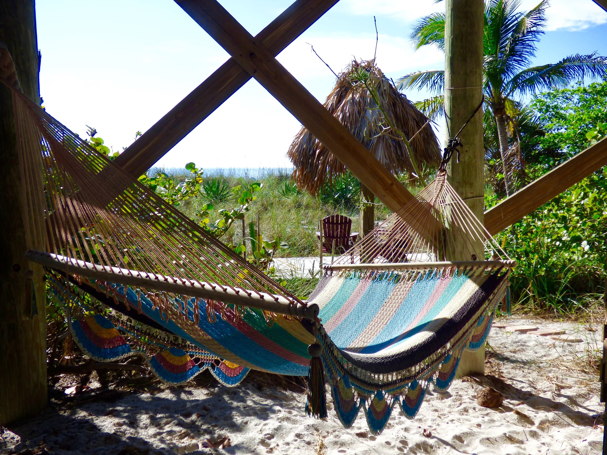 Downstairs hammock.jpg