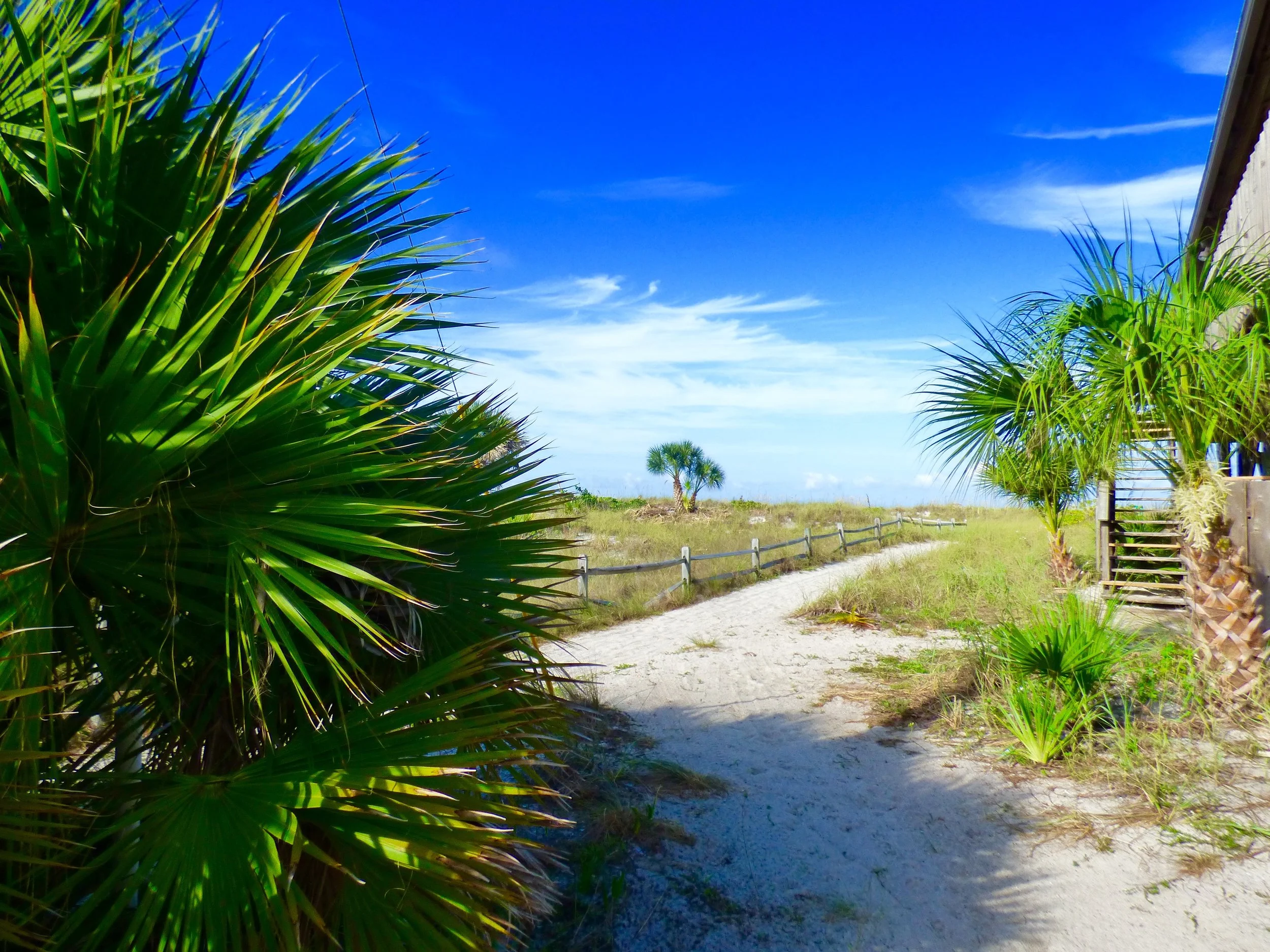 beach path.jpg