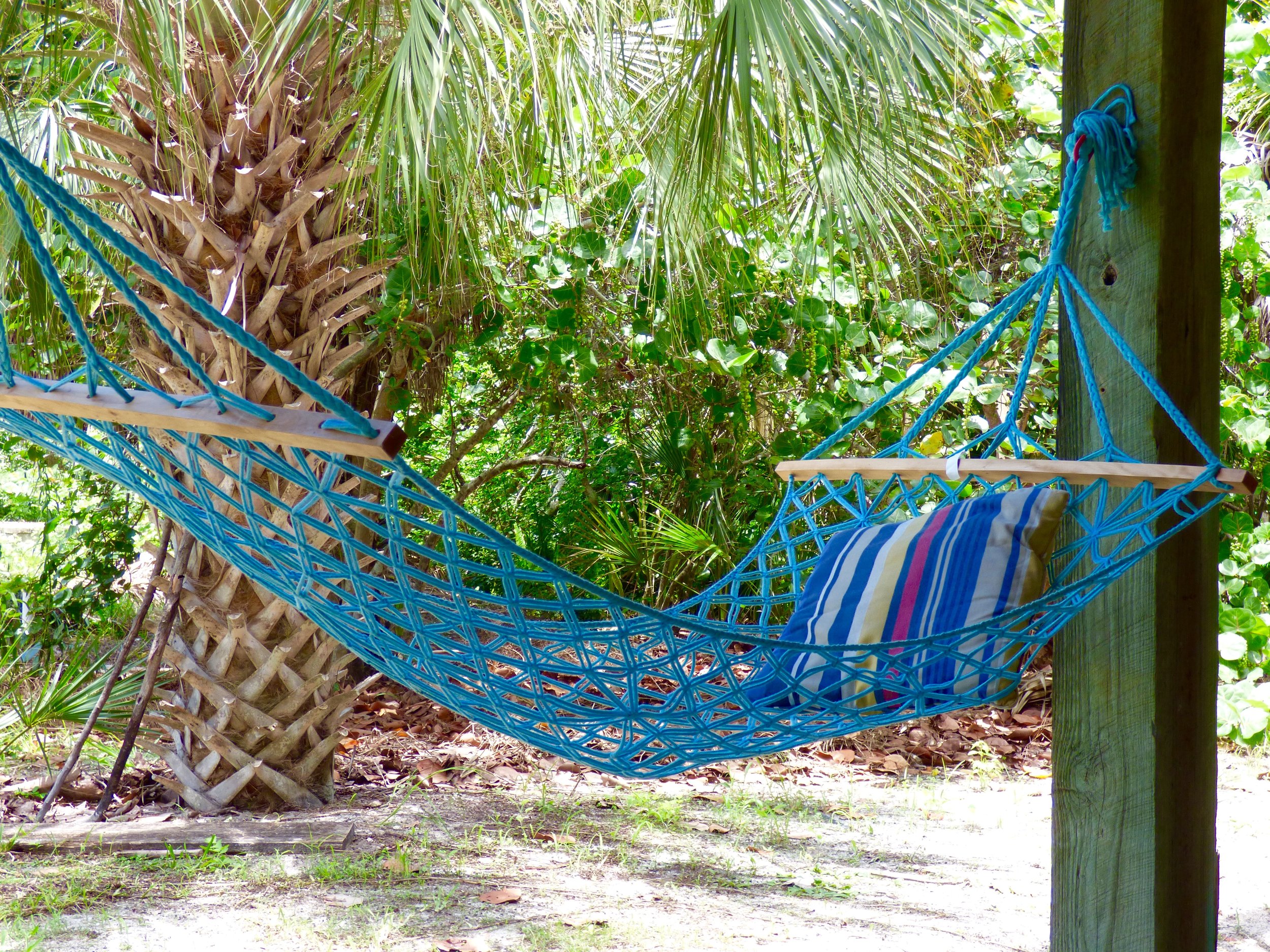 hammock.jpg