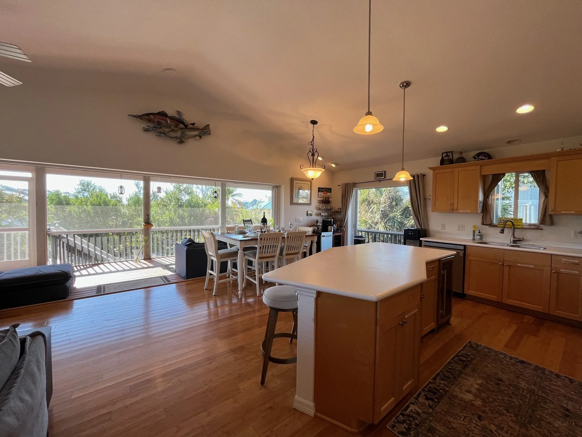 Kitchen out view.jpeg