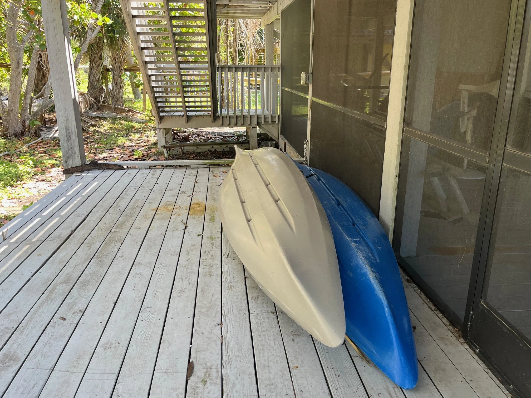 IMG_6462.jpeg