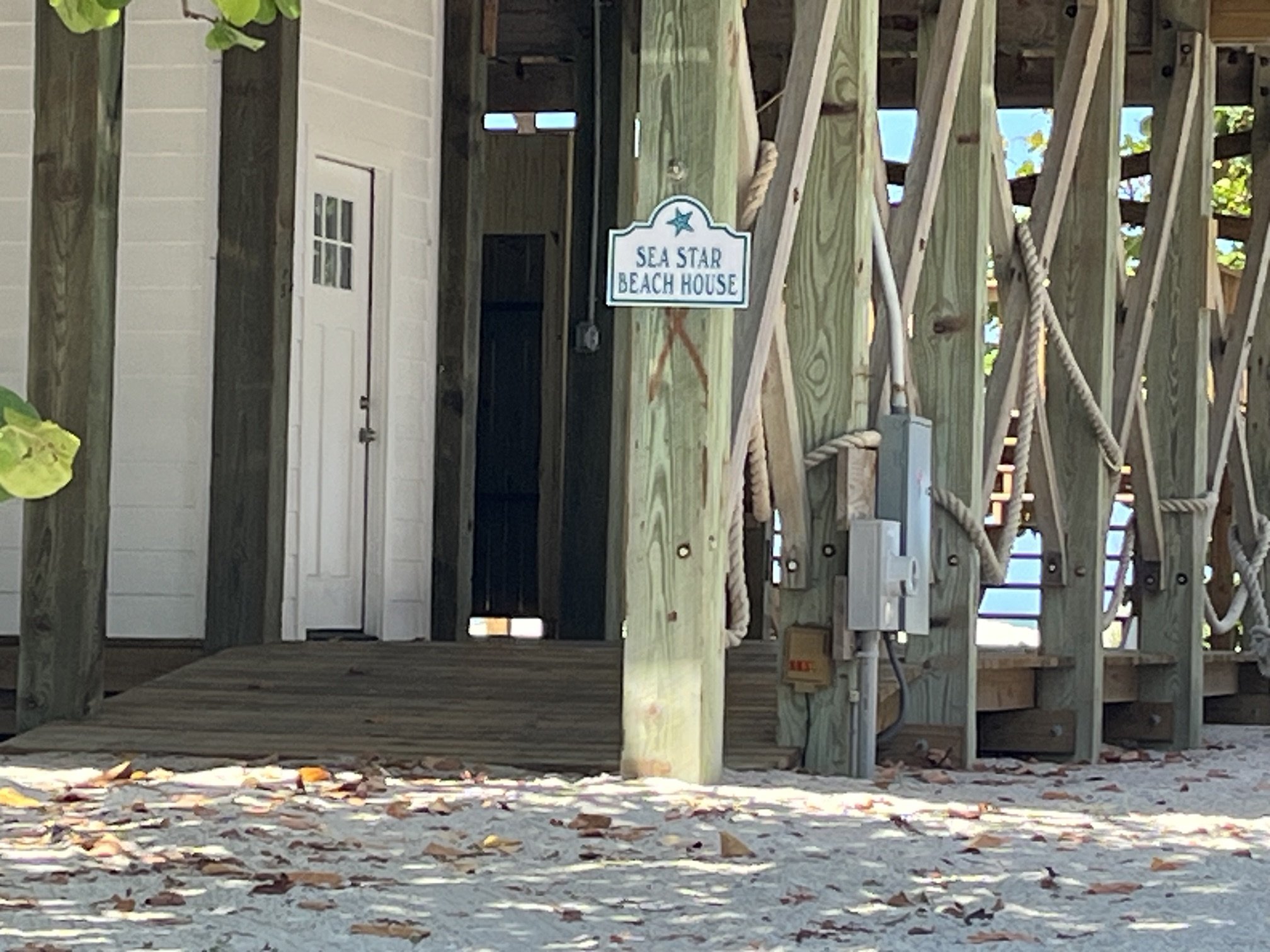 image1.jpeg