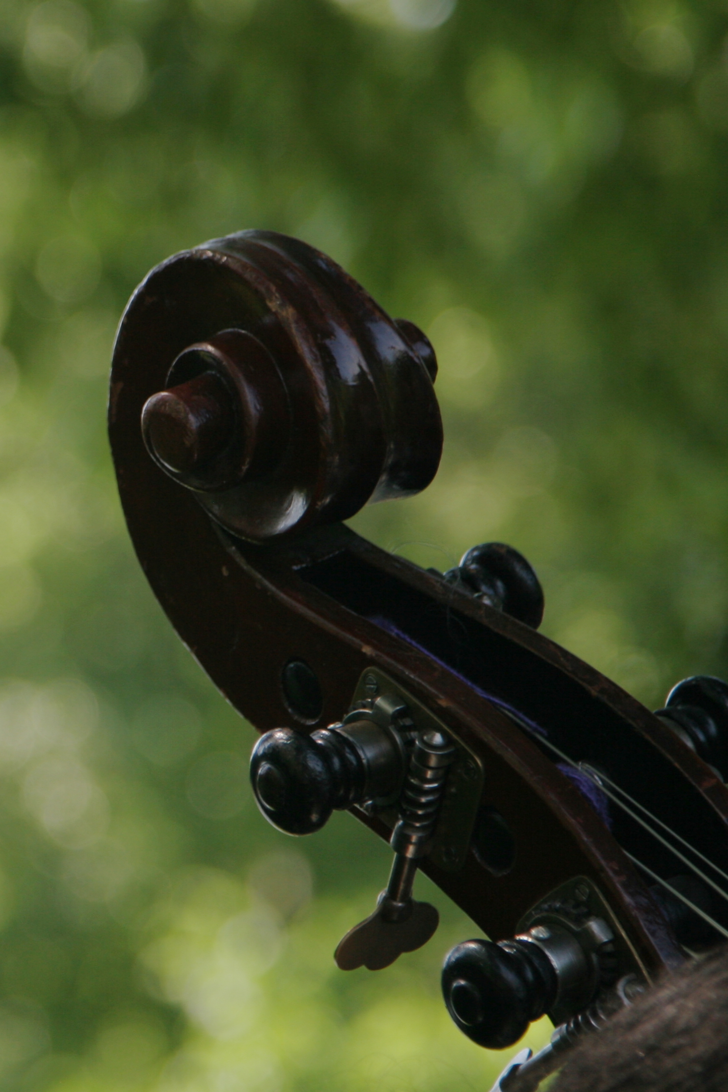 Cello.jpg