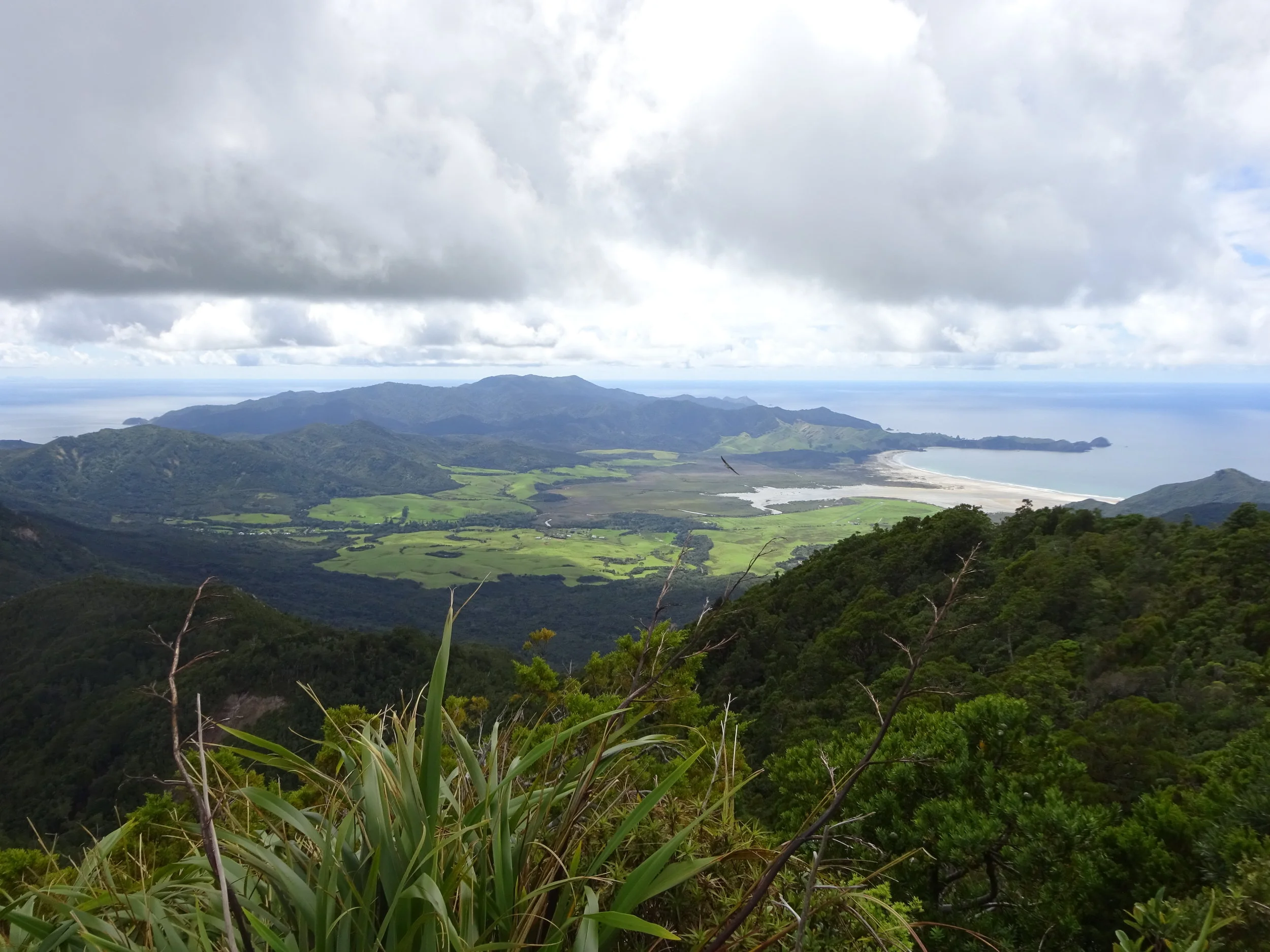 Aotea Track, Great Barrier Island, New Zealand
