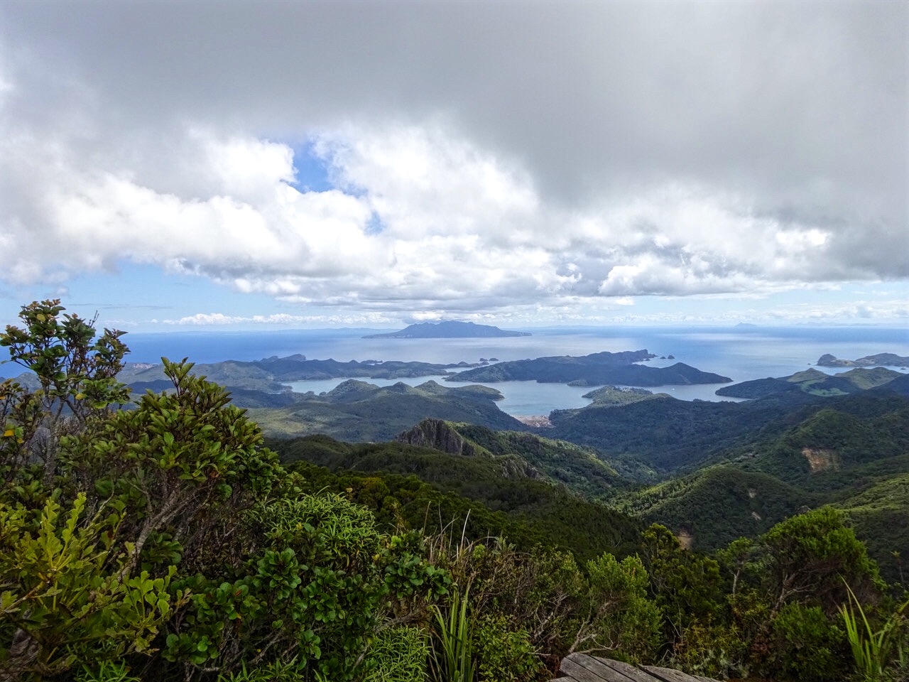 Aotea Track, Great Barrier Island, New Zealand