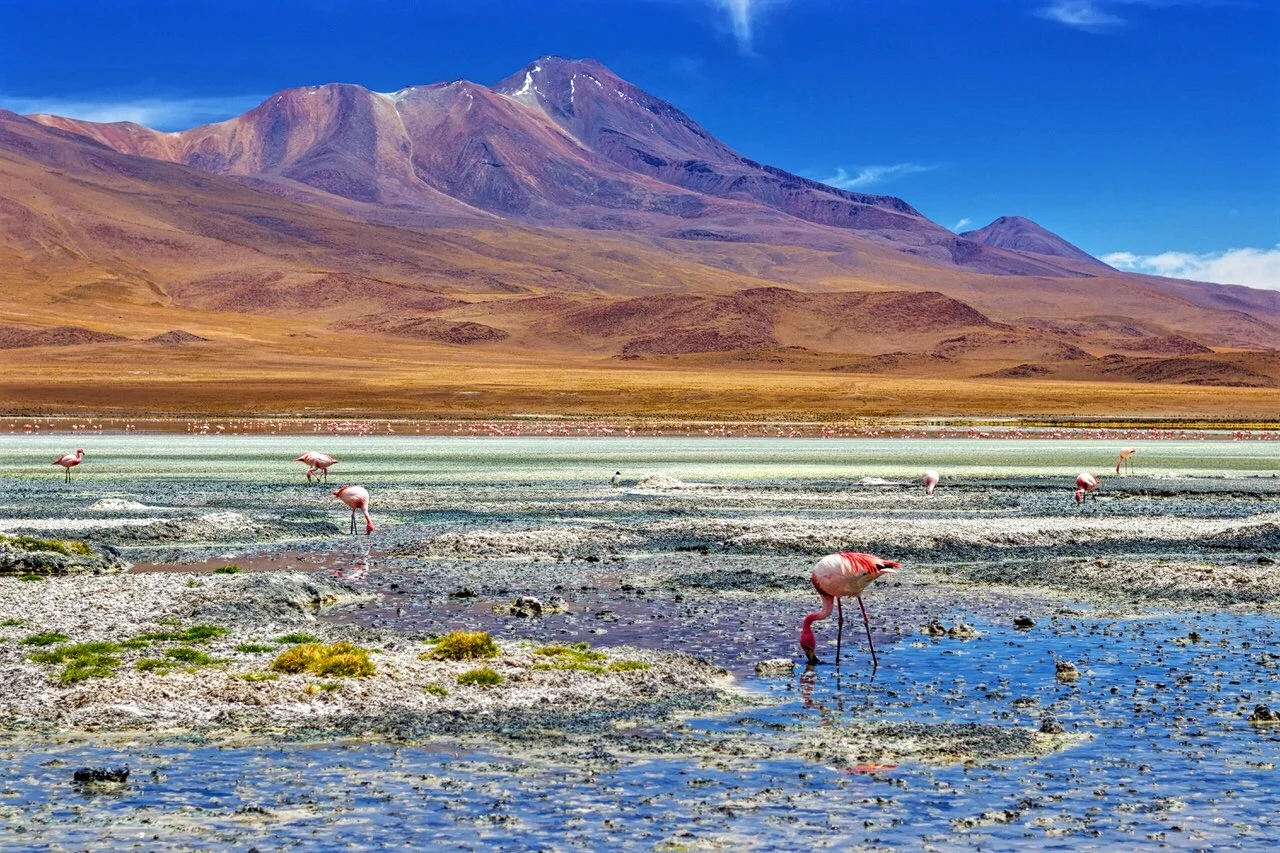 Bolivia
