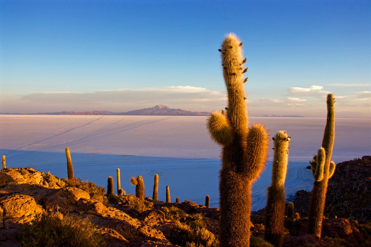 Salar y Uyuni, Bolivia