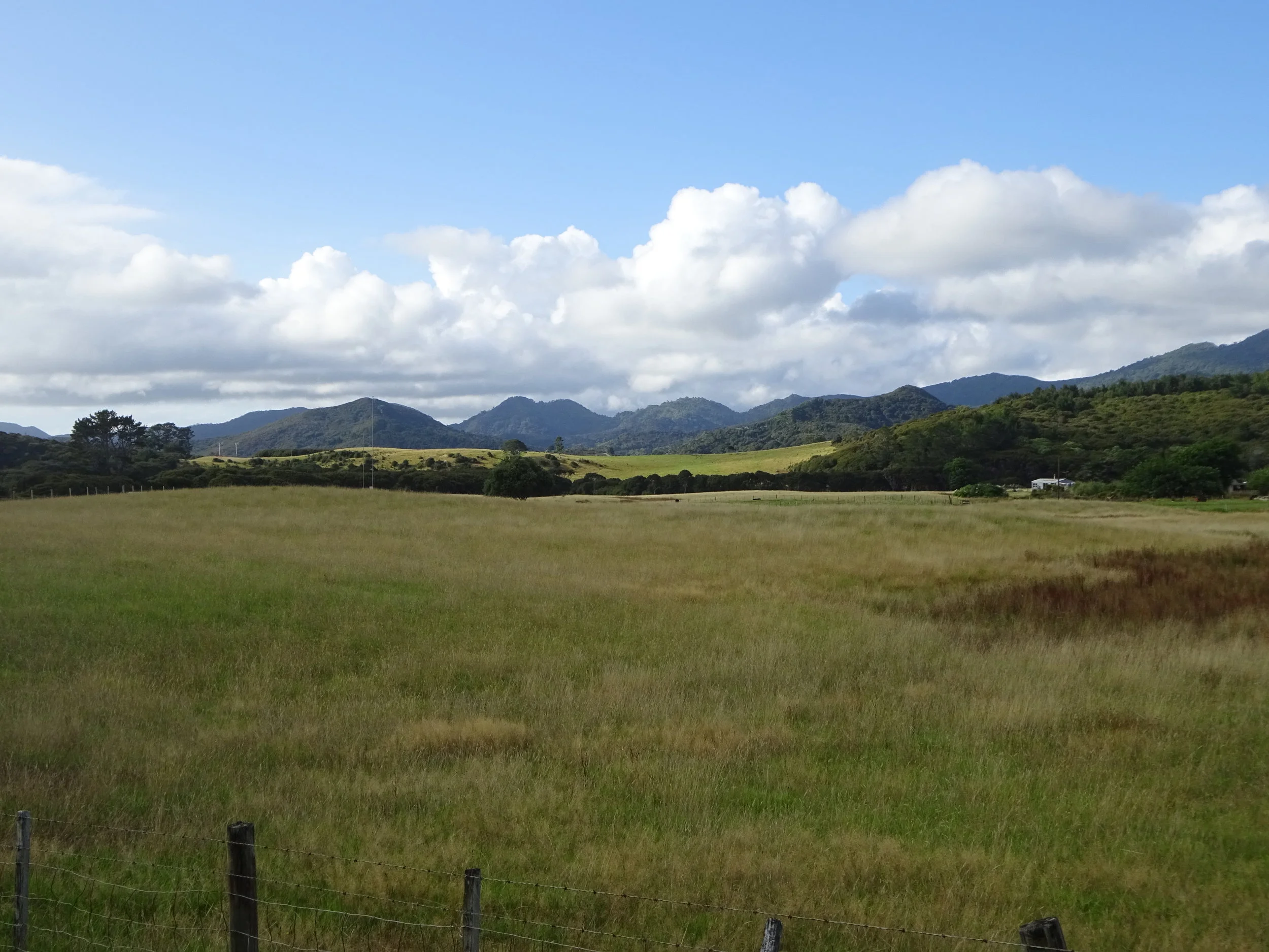 Stewart Road, Great Barrier Island, New Zealand