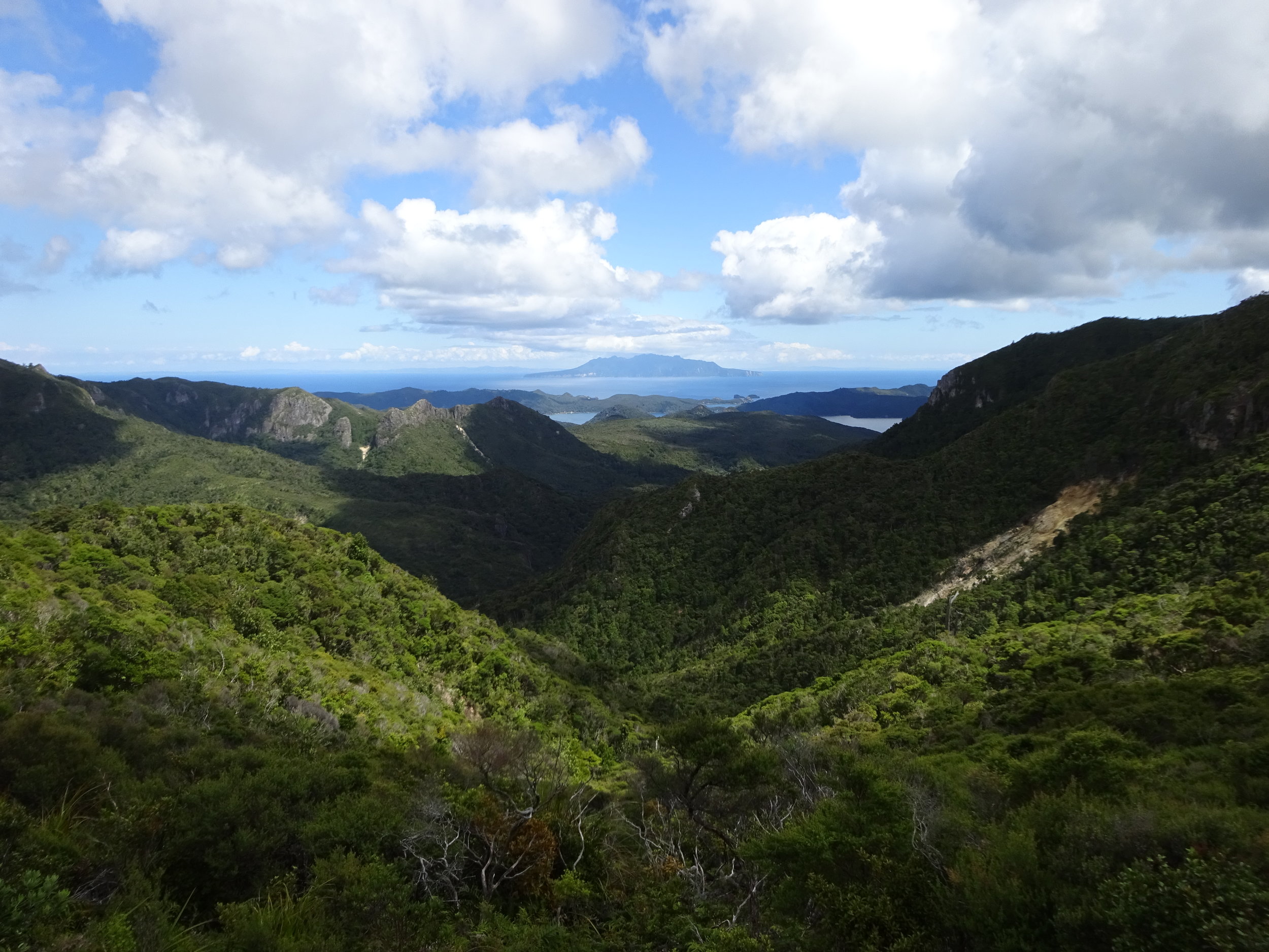 Mt Hood, Great Barrier Island, New Zealand