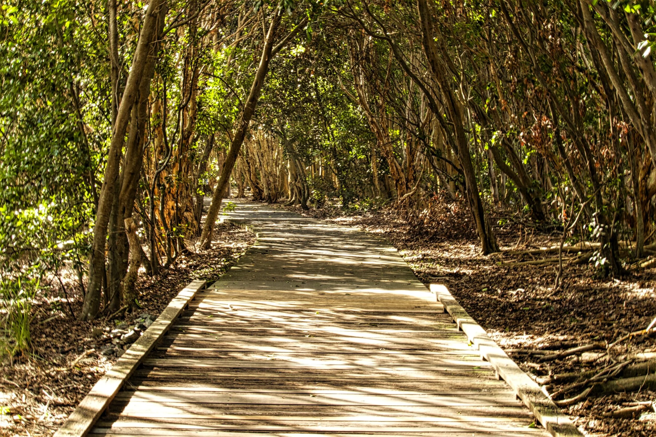 Casuarina, New South Wales, Australia