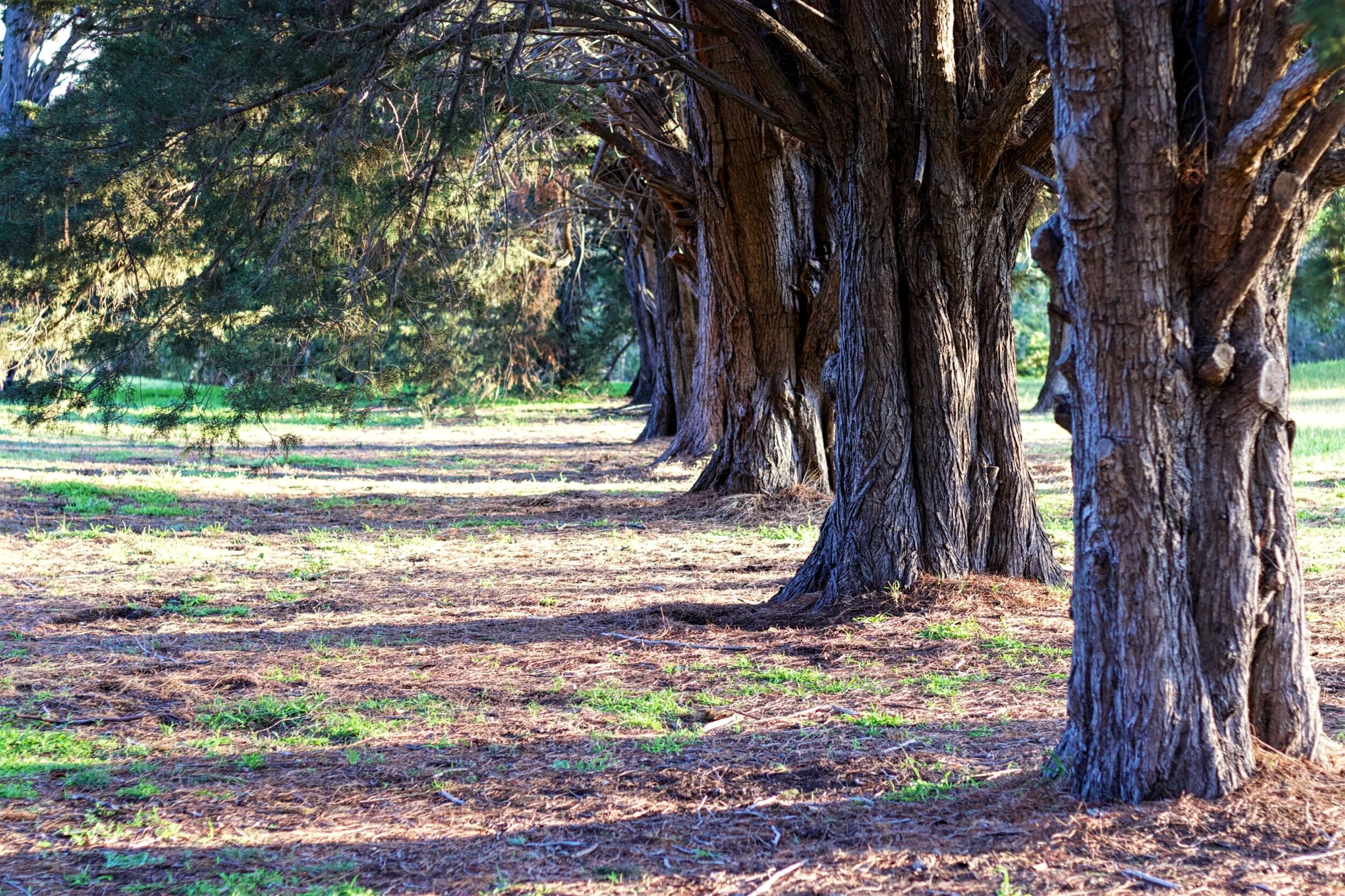 Abbotsford, Melbourne, Victoria