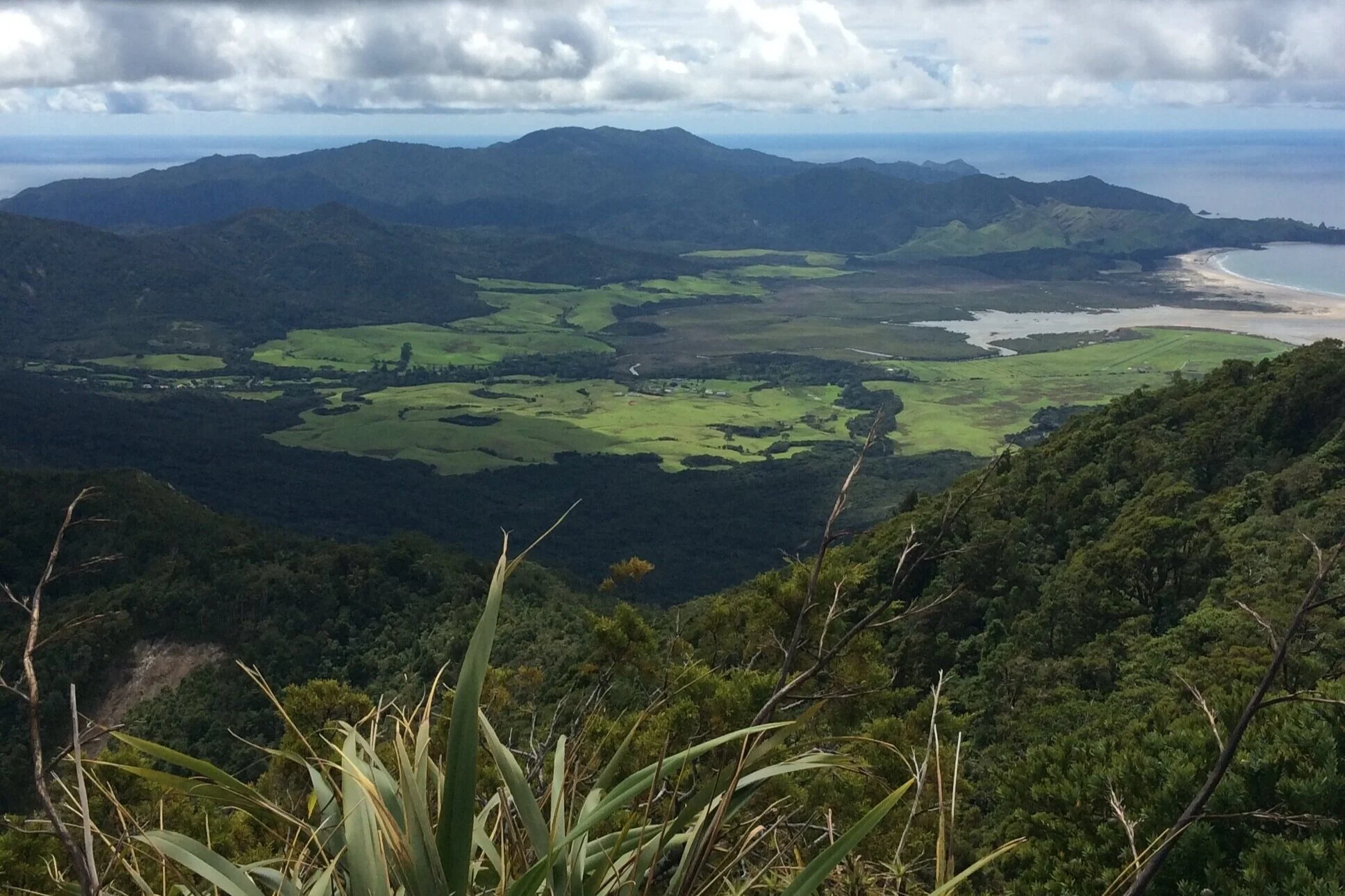 View from Mt. Hood, Great Barrier Island, New Zealand