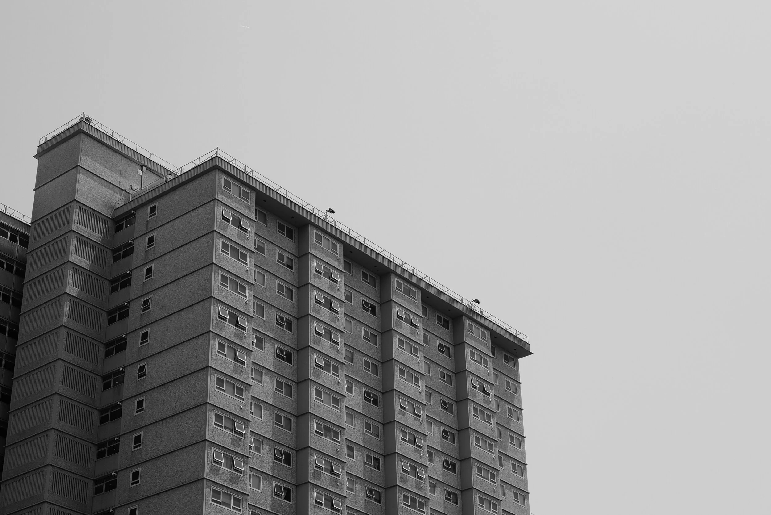 L1020109.jpg