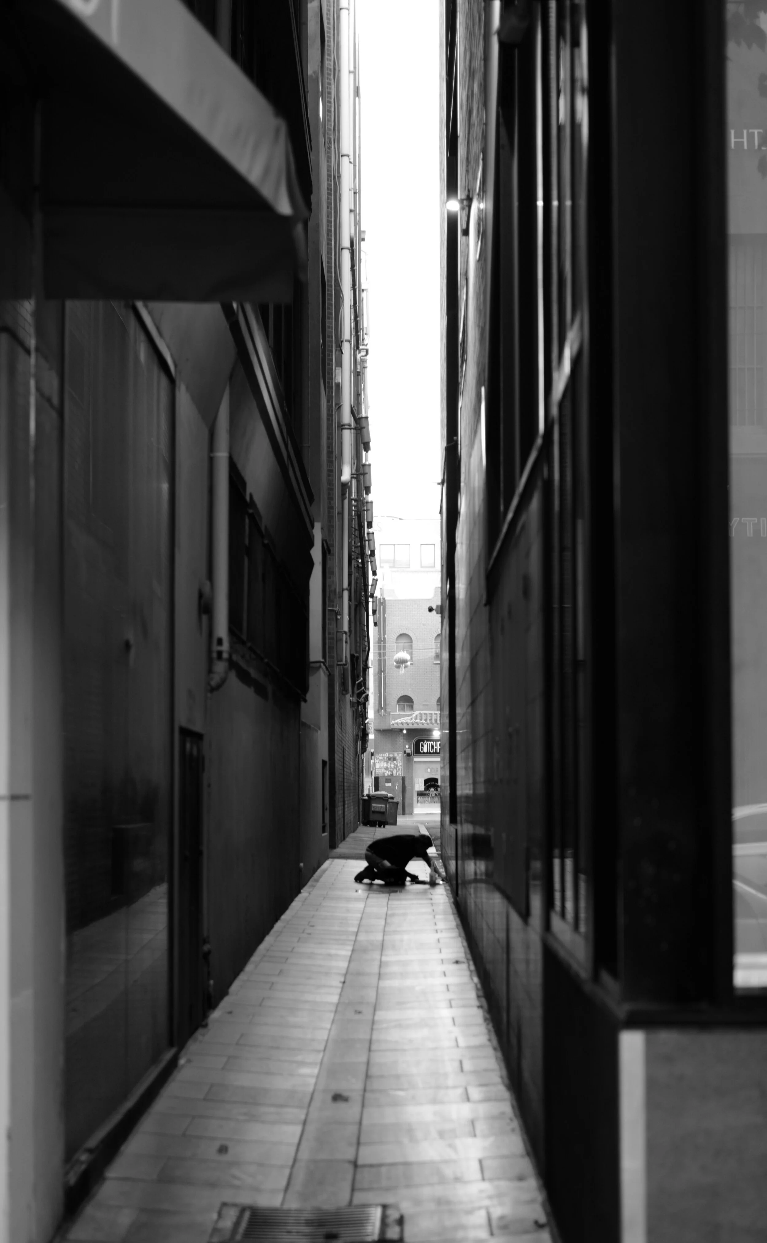 L1010130.jpg