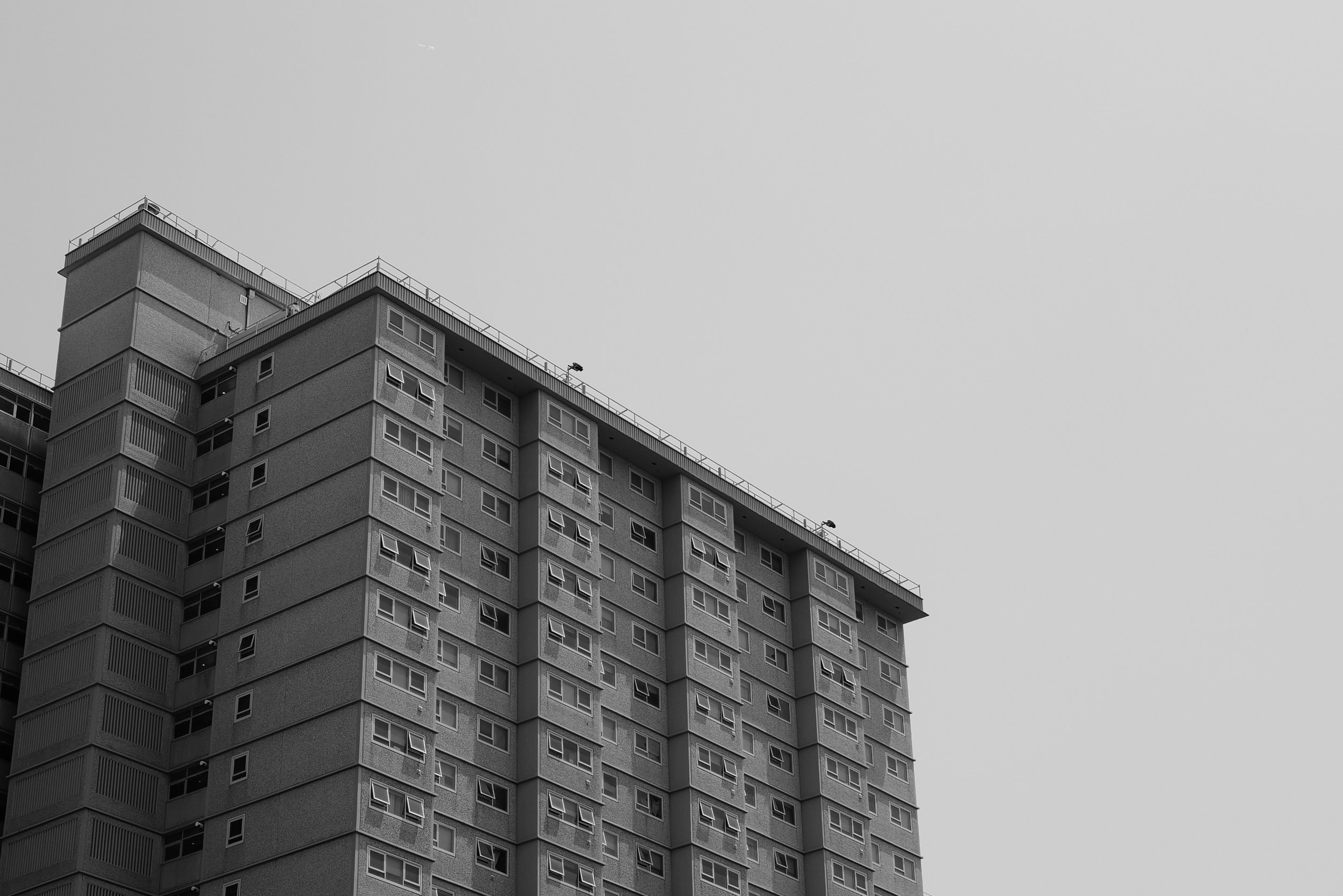 L1020109.jpg