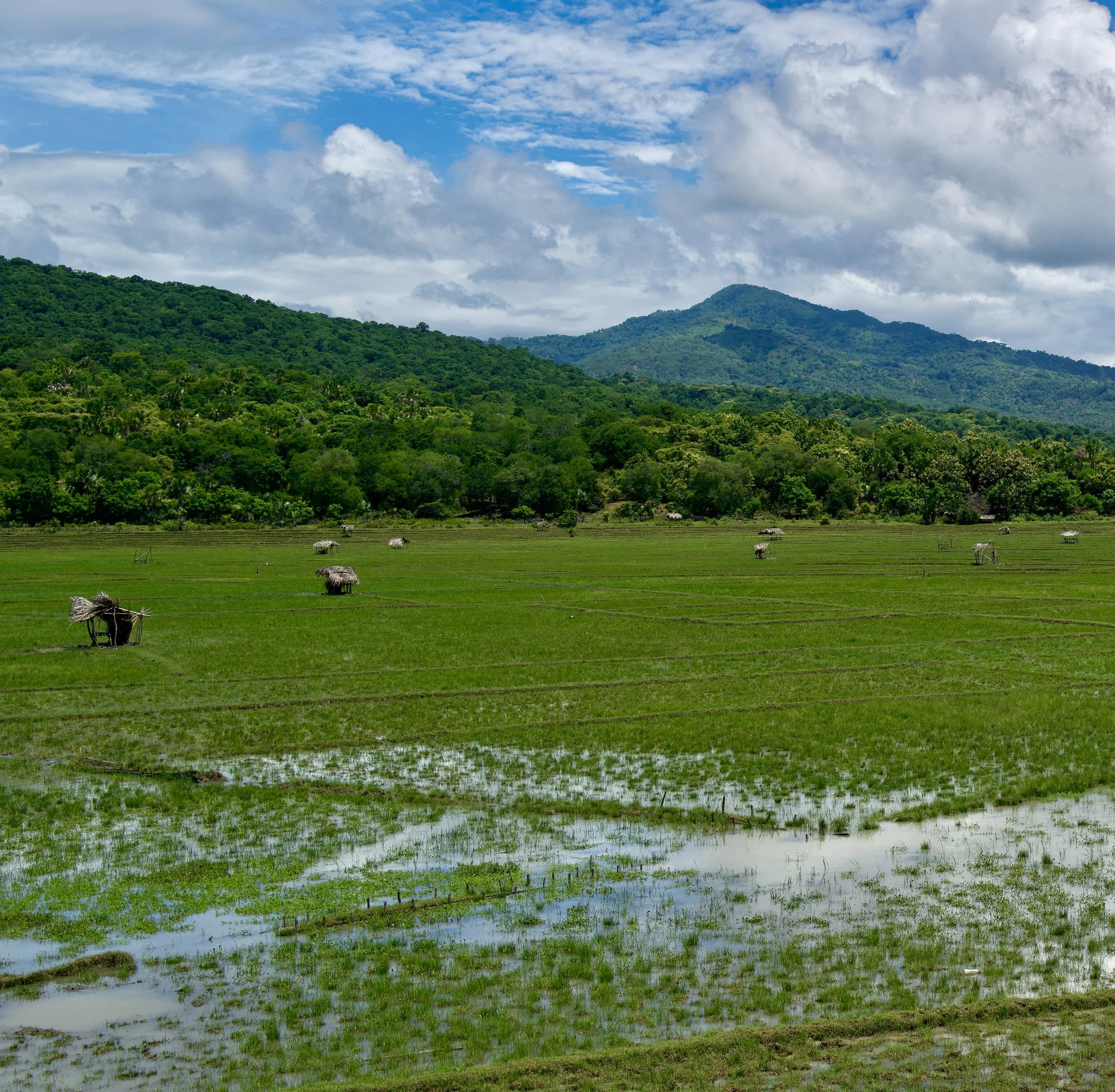 TImor-Leste