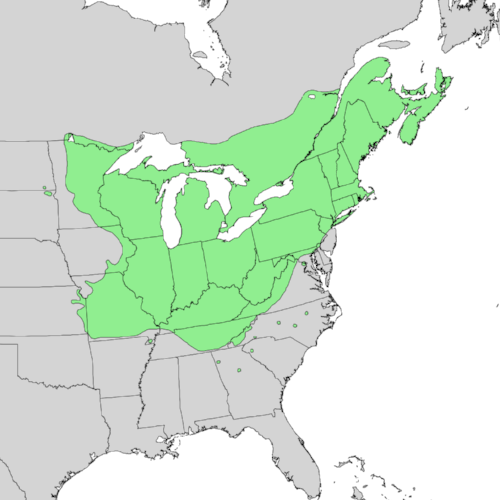 The range of sugar maple ( Acer saccharum )