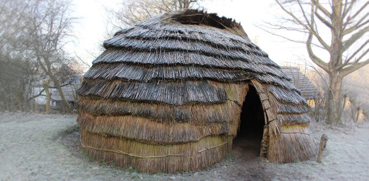 Mesolithic people constructed their houses from locally-available materials. Hazel poles often comprised the skeleton of the structure, and reeds like Phragmites australis (now endangered in Europe, but a common invasive in North America) were used as thatching. Mesolithic societies were experts at creating thriving societies whose only traces were stone tools and a more diverse landscape. Source .