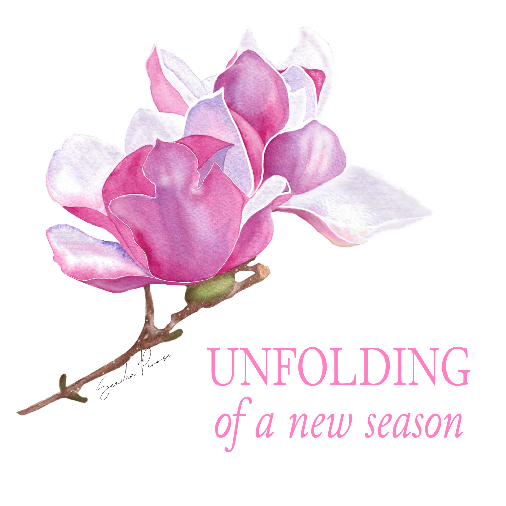 Unfolding of a New Season