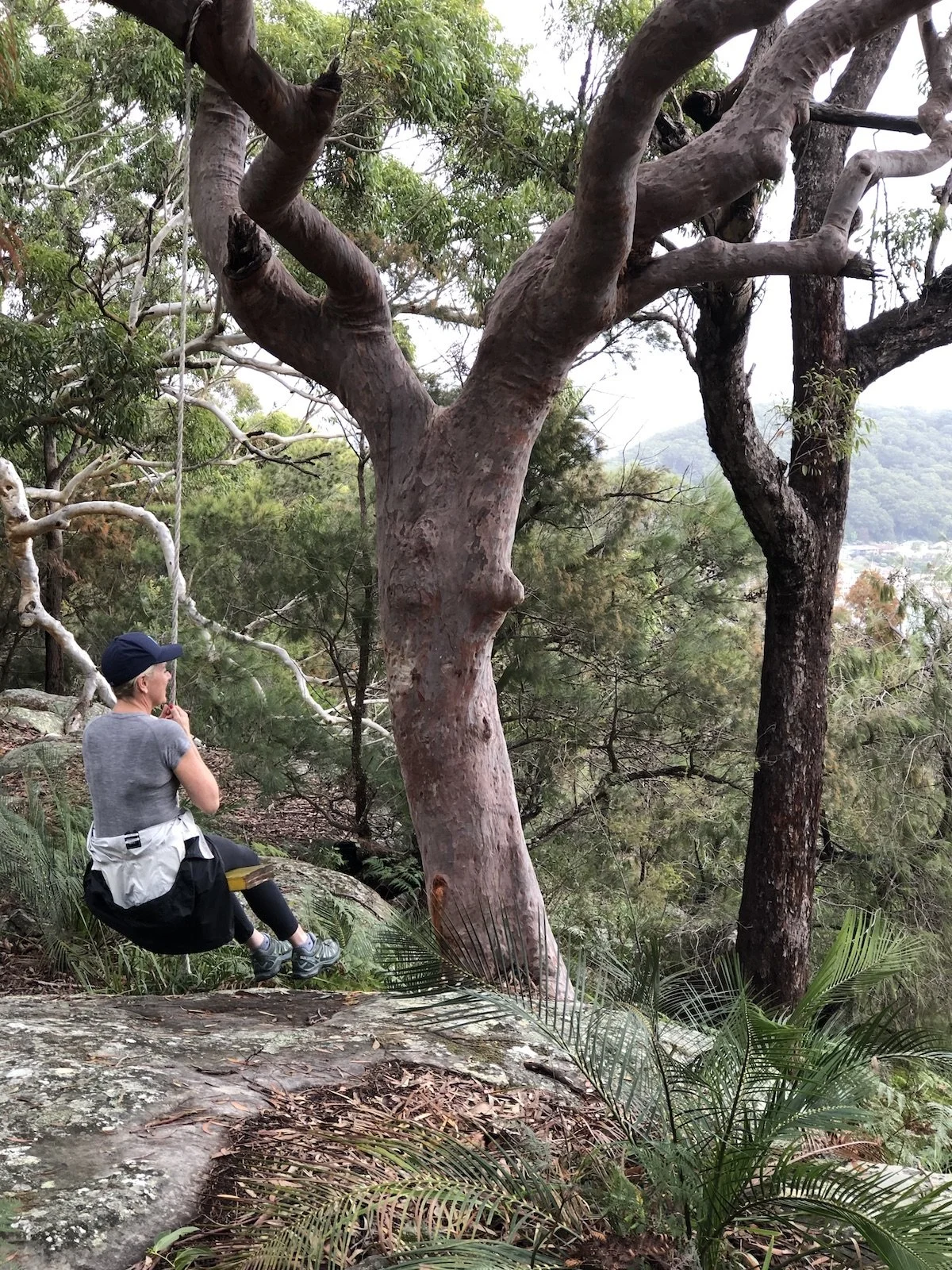 Why Wellness Coaching?