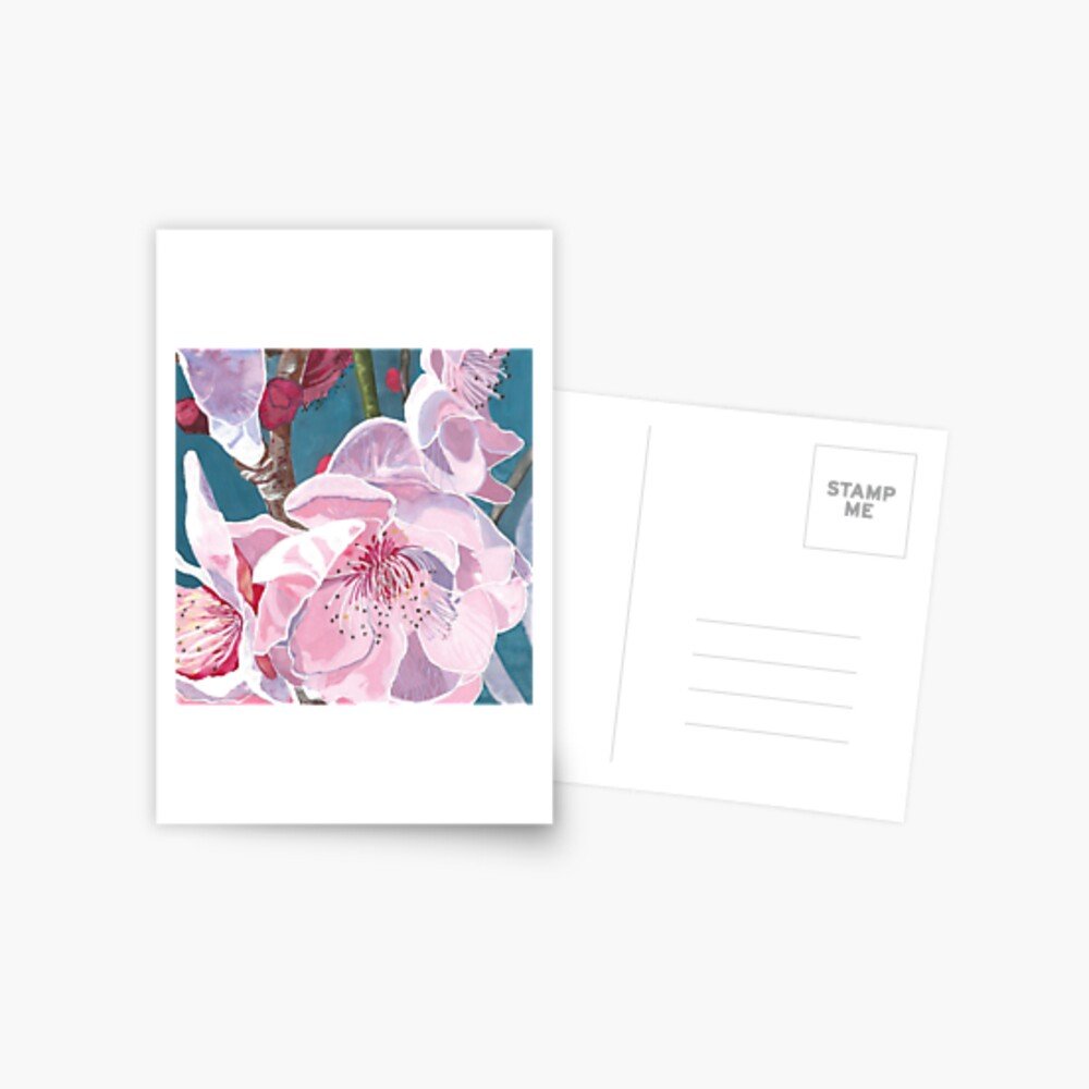 Cherry Blossom Postcards