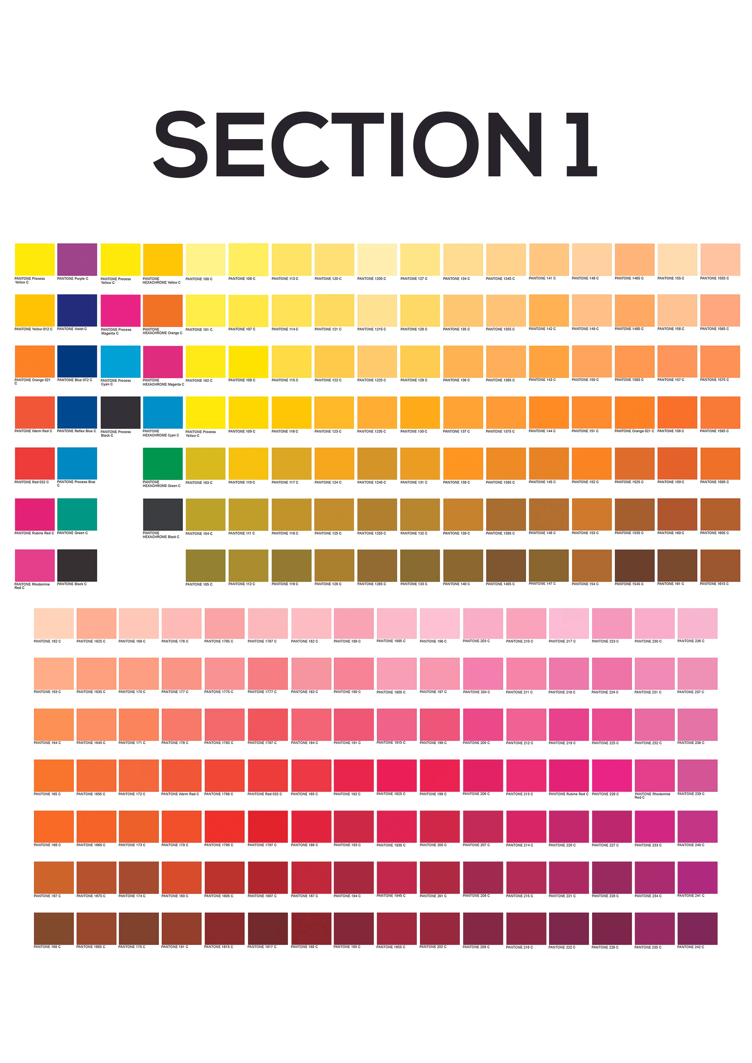 Section_1.jpg