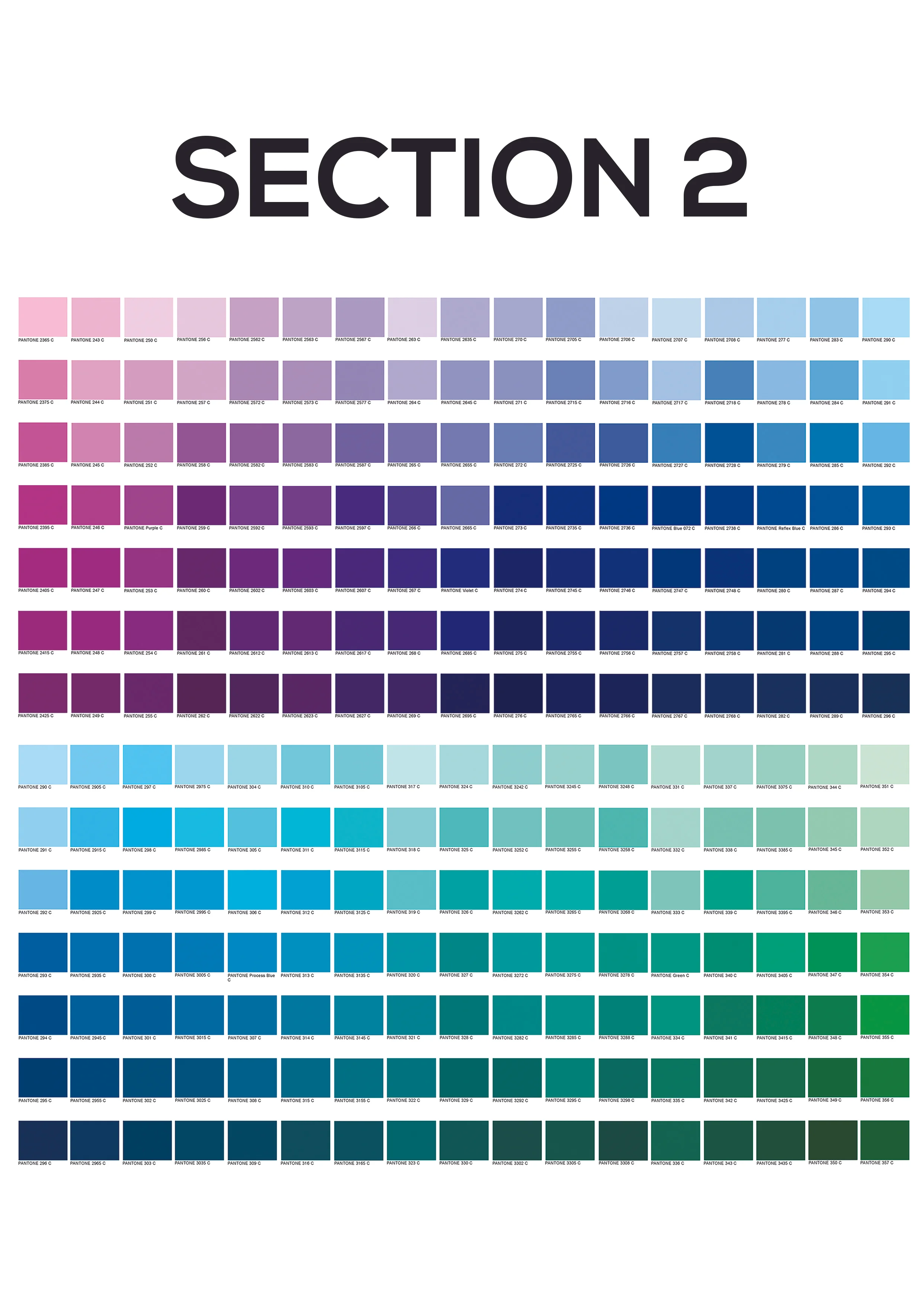 Section_2.jpg