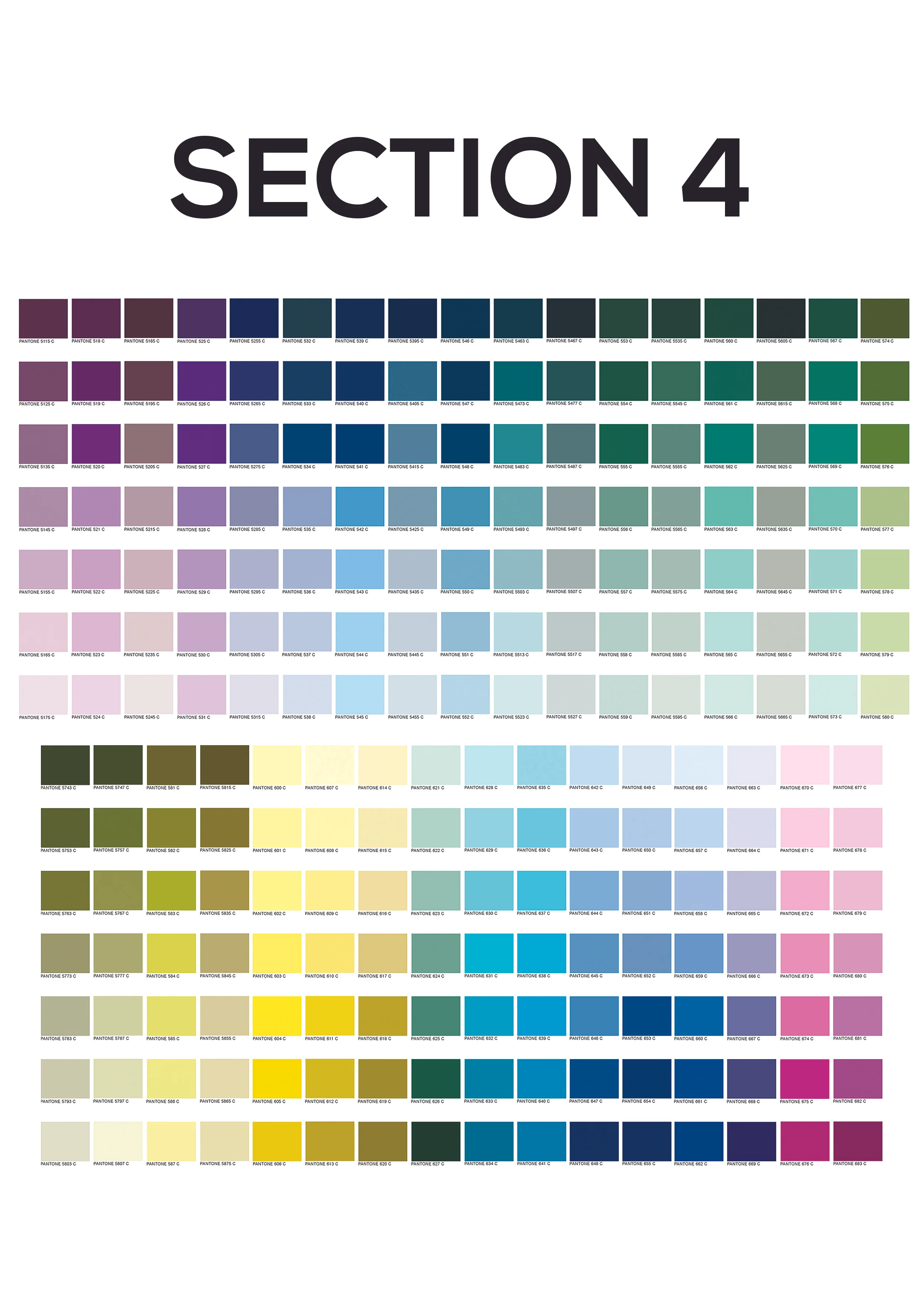 Section_4.jpg