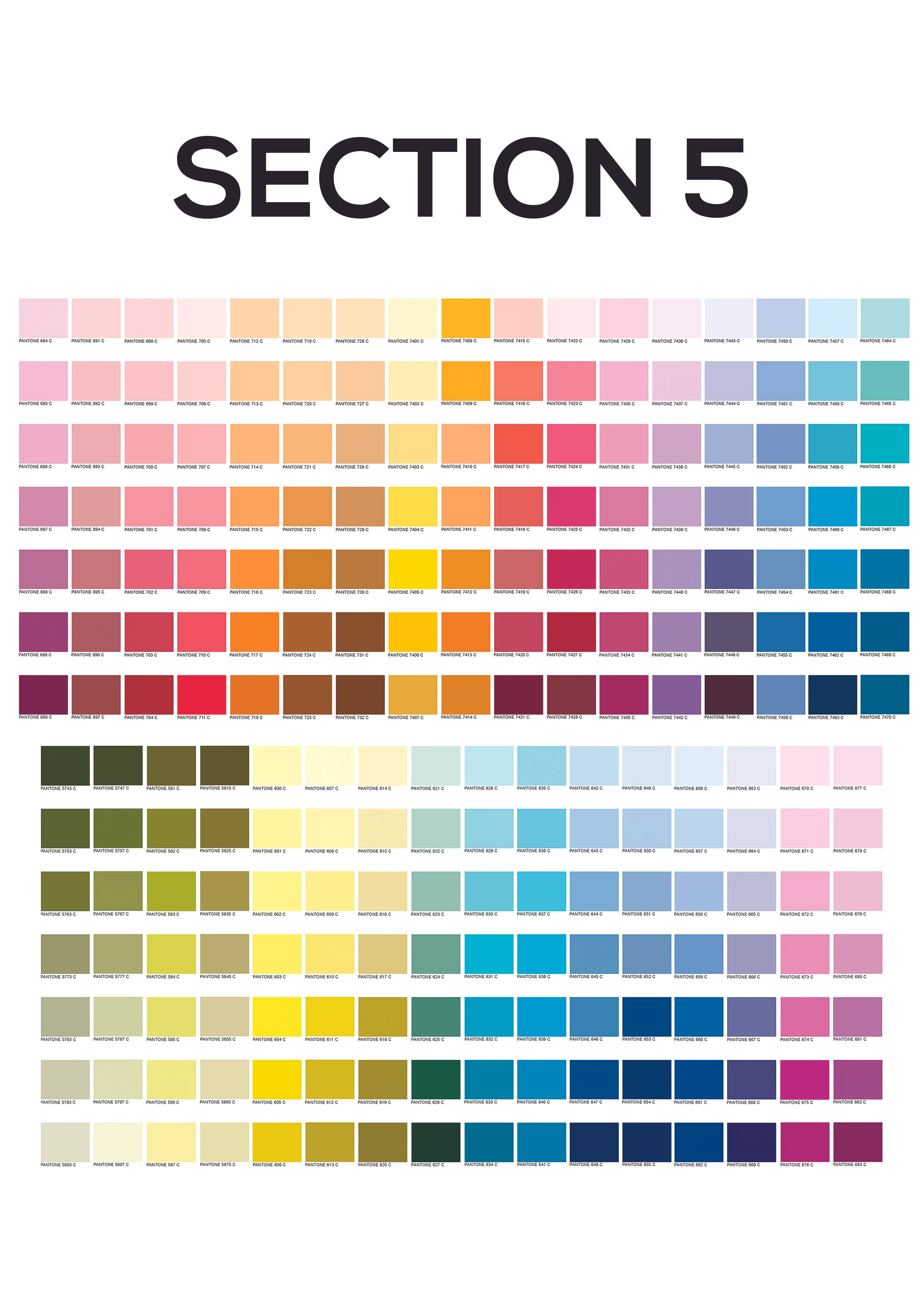 Section_5.jpg
