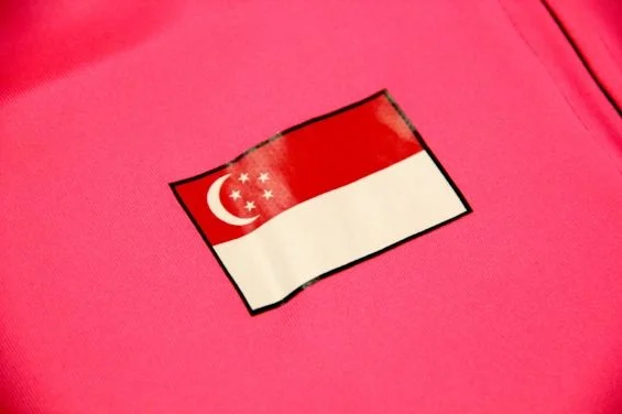 heat transfer textile image.jpg