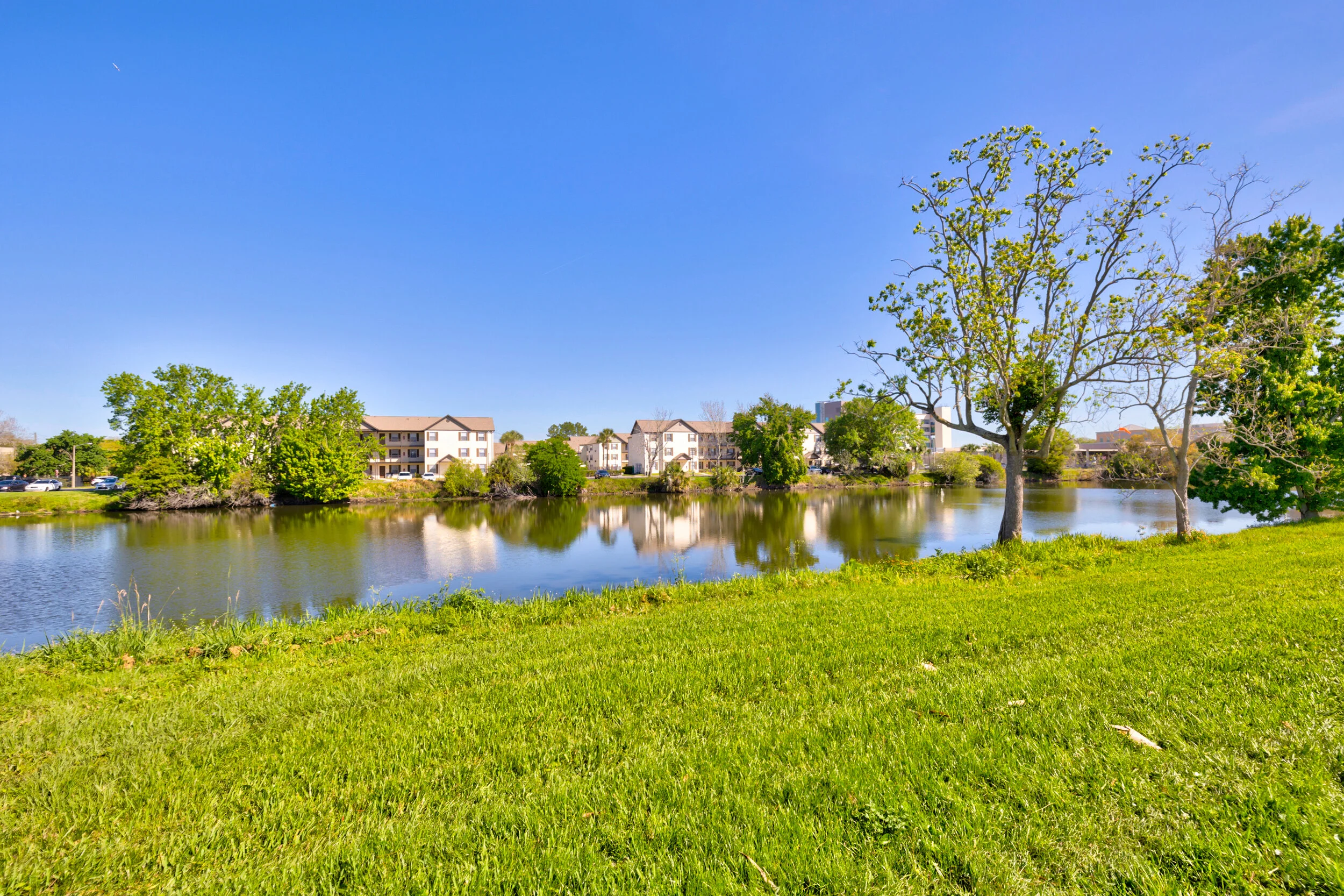 Beautiful Lake View.jpeg