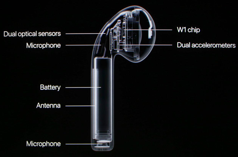 AirPods antennas are located on the outside edge for obvious reasons