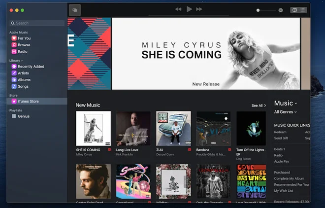 iTunes Store in macOS Catalina's Apple Music.