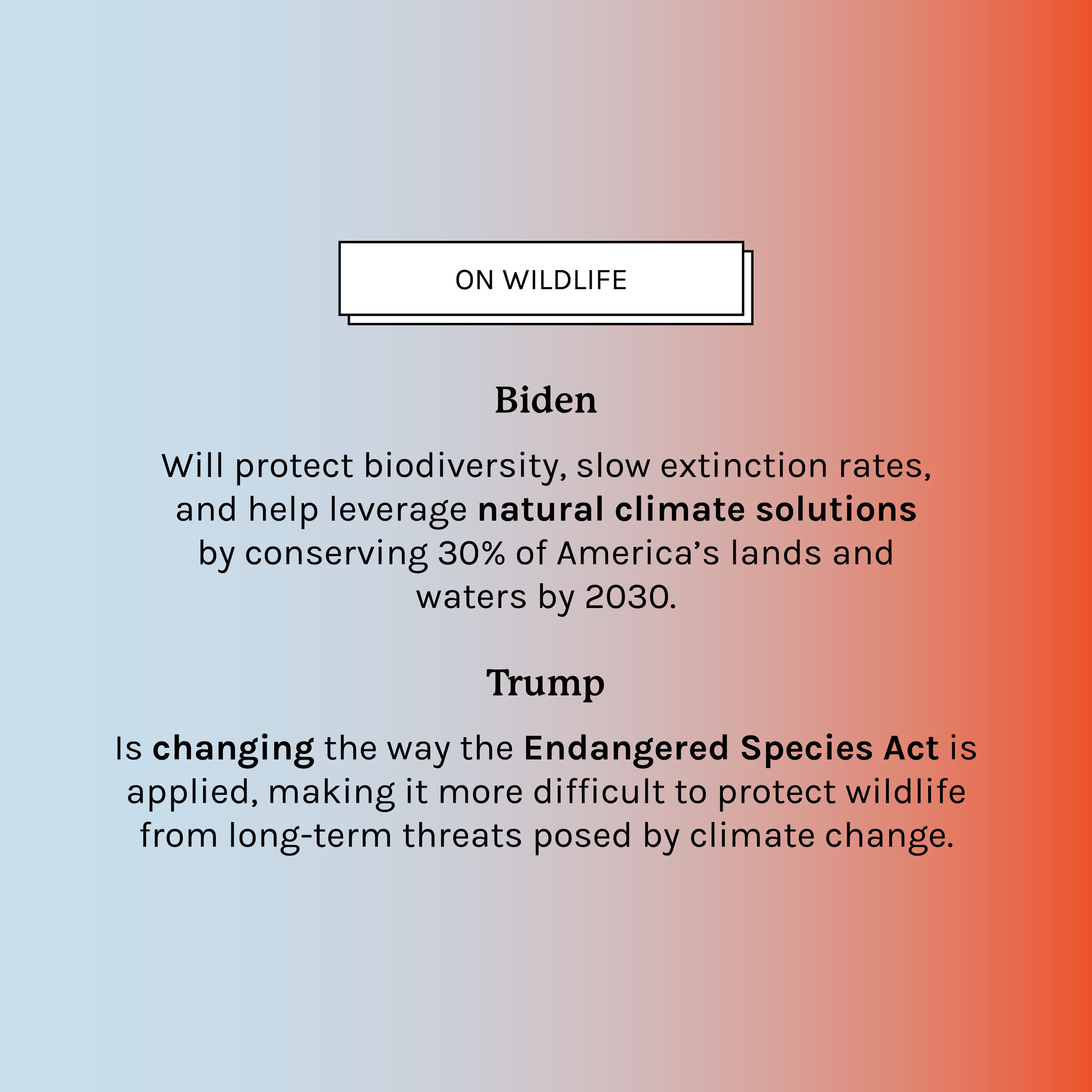 climate-class-05-social6.jpg