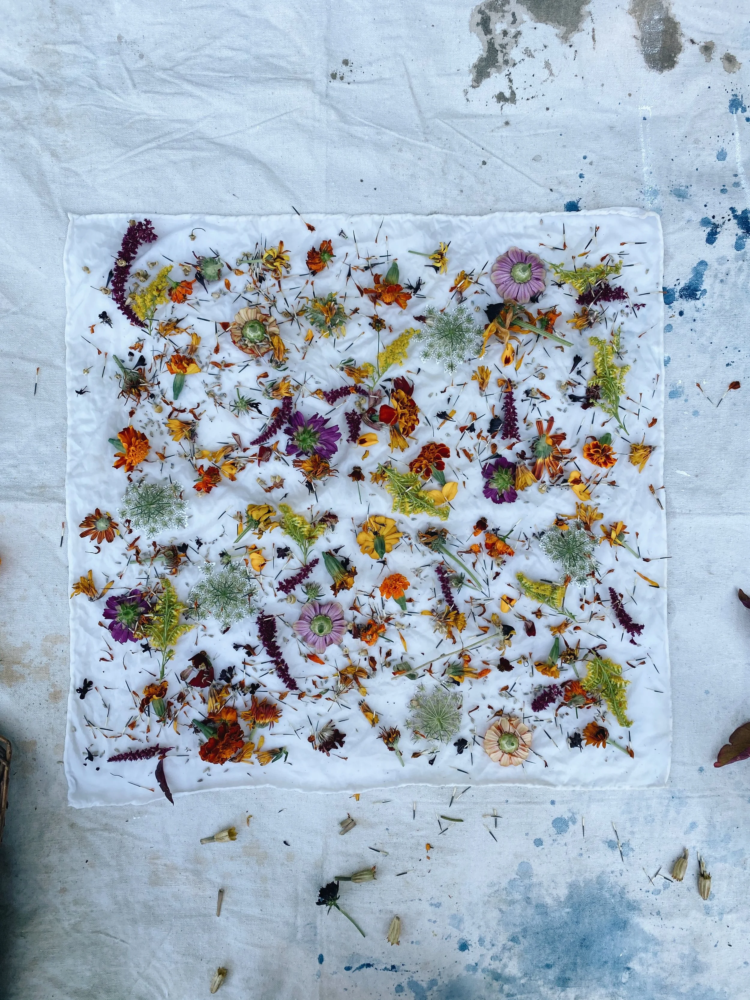10_Botanical Bundle Dyeing.JPG