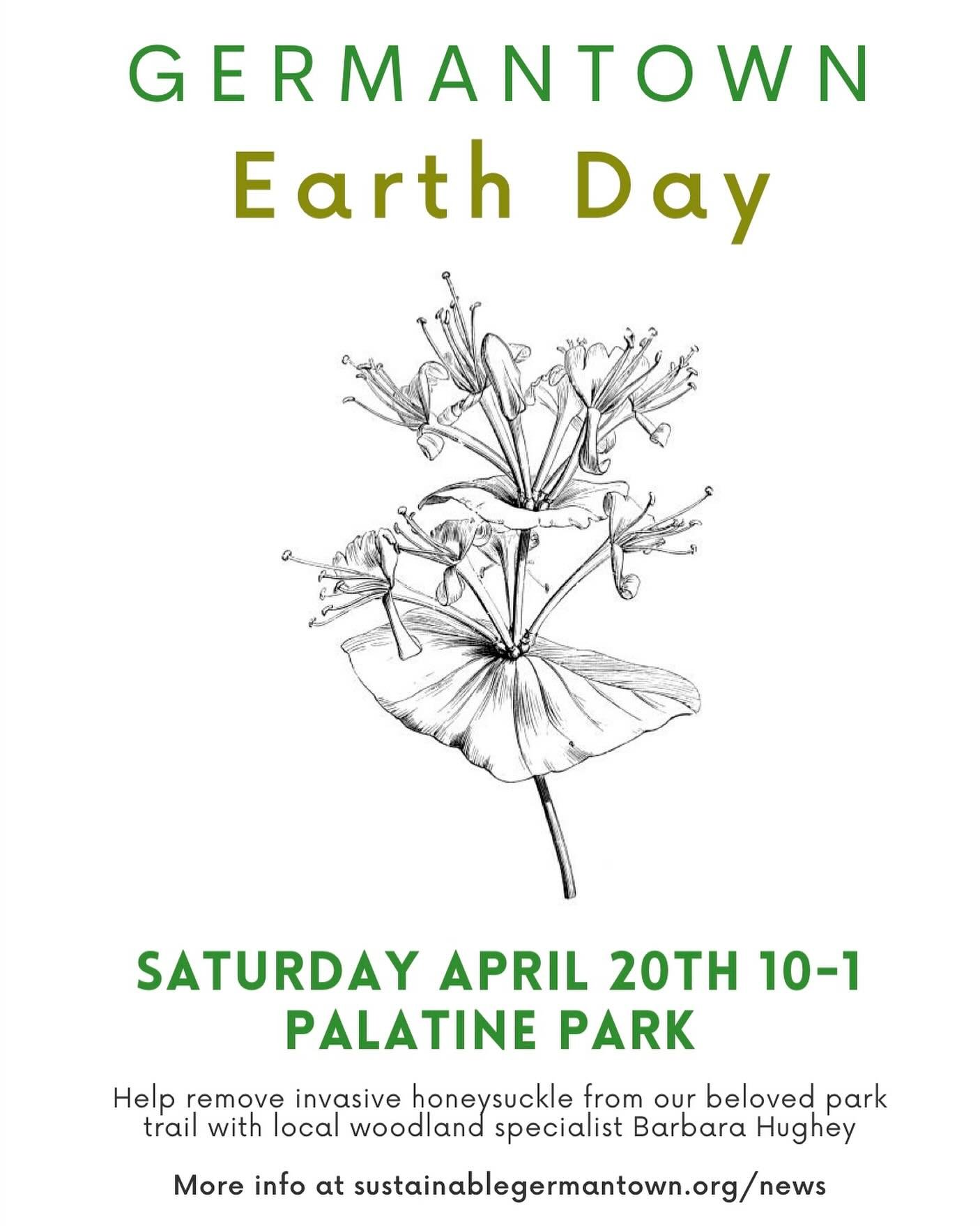In honor of Earth Day, Germantown elementary school students will learn about the plants growing along the Palatine Park nature trail on Friday, April 19th, 2024. Building upon work started last year, the students will learn to identify and pull Euro