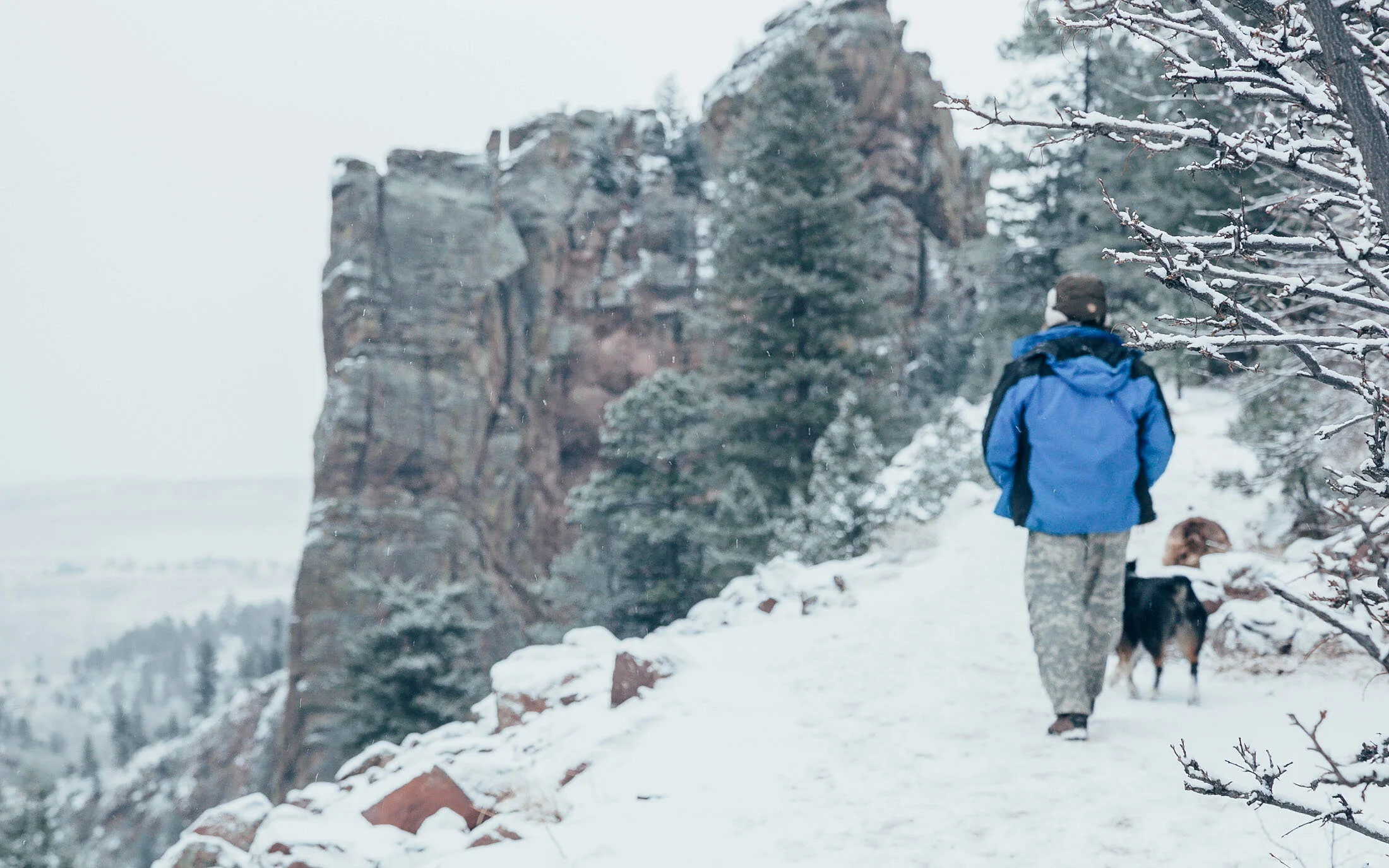 colorado-26-1.jpg