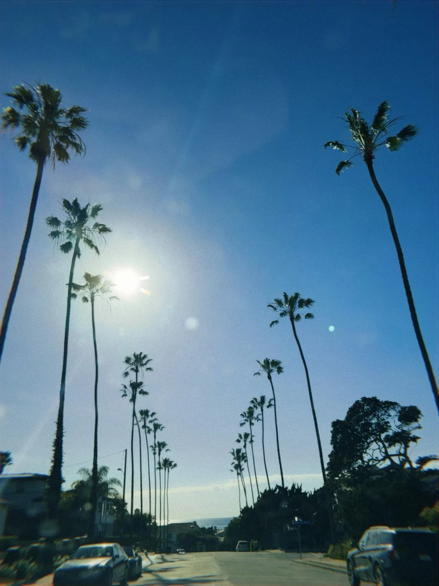 Popped out of town for some sun and inspiration ✨
1. Tree-lined streets (these are different from the Royal Palms I grew up with)
2. My hair thriving in San Diego weather
3. Desolate office plaza begging for a revival
4. Dog-wash station inspo
5. Rem
