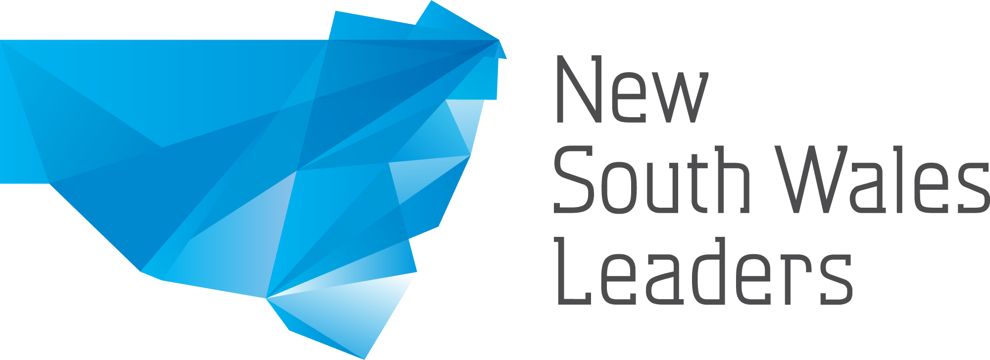 new-south-wales-leaders-logo-horizontal-colour-rgb.png