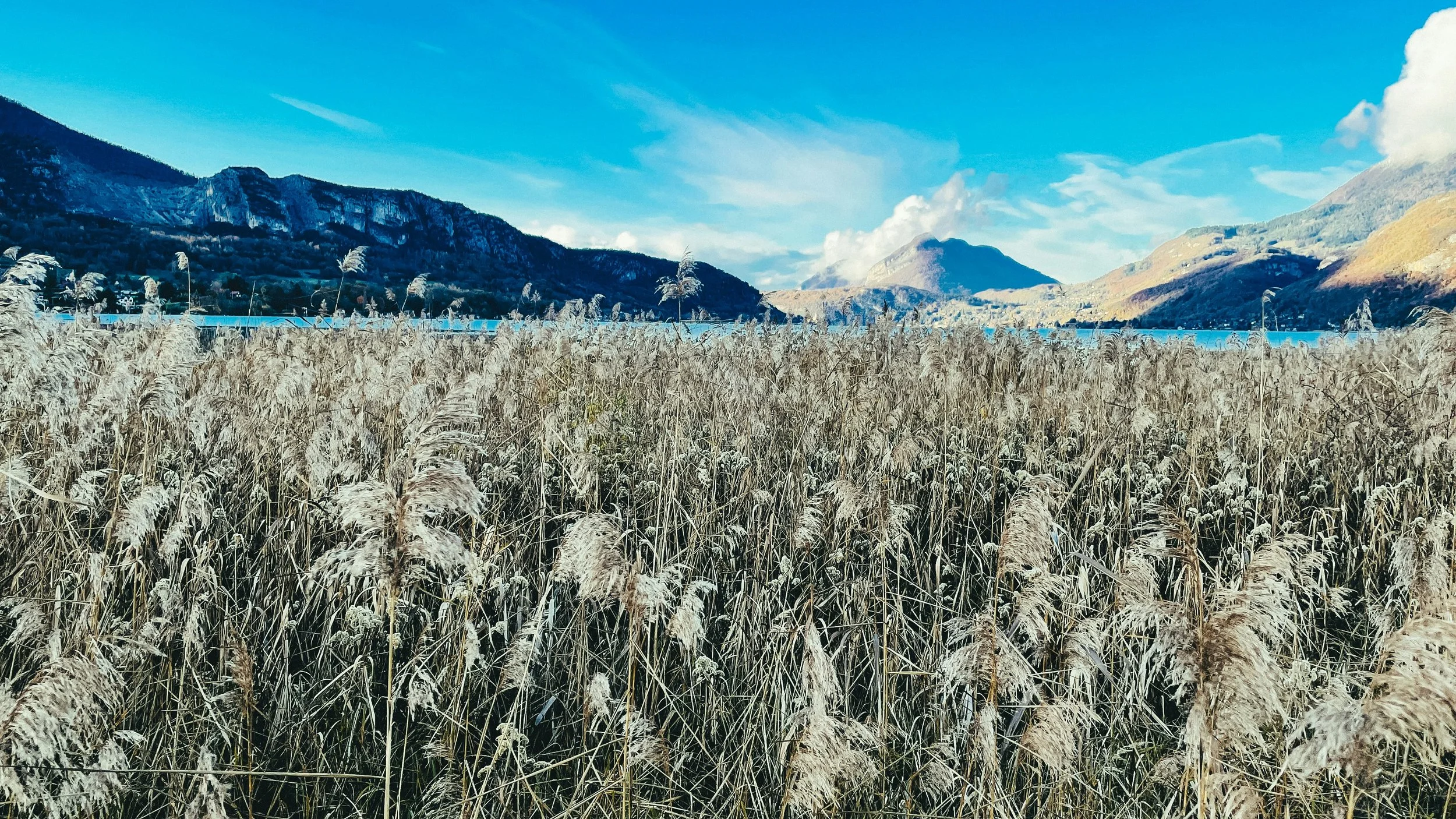 The Marketing Landscape in 2026