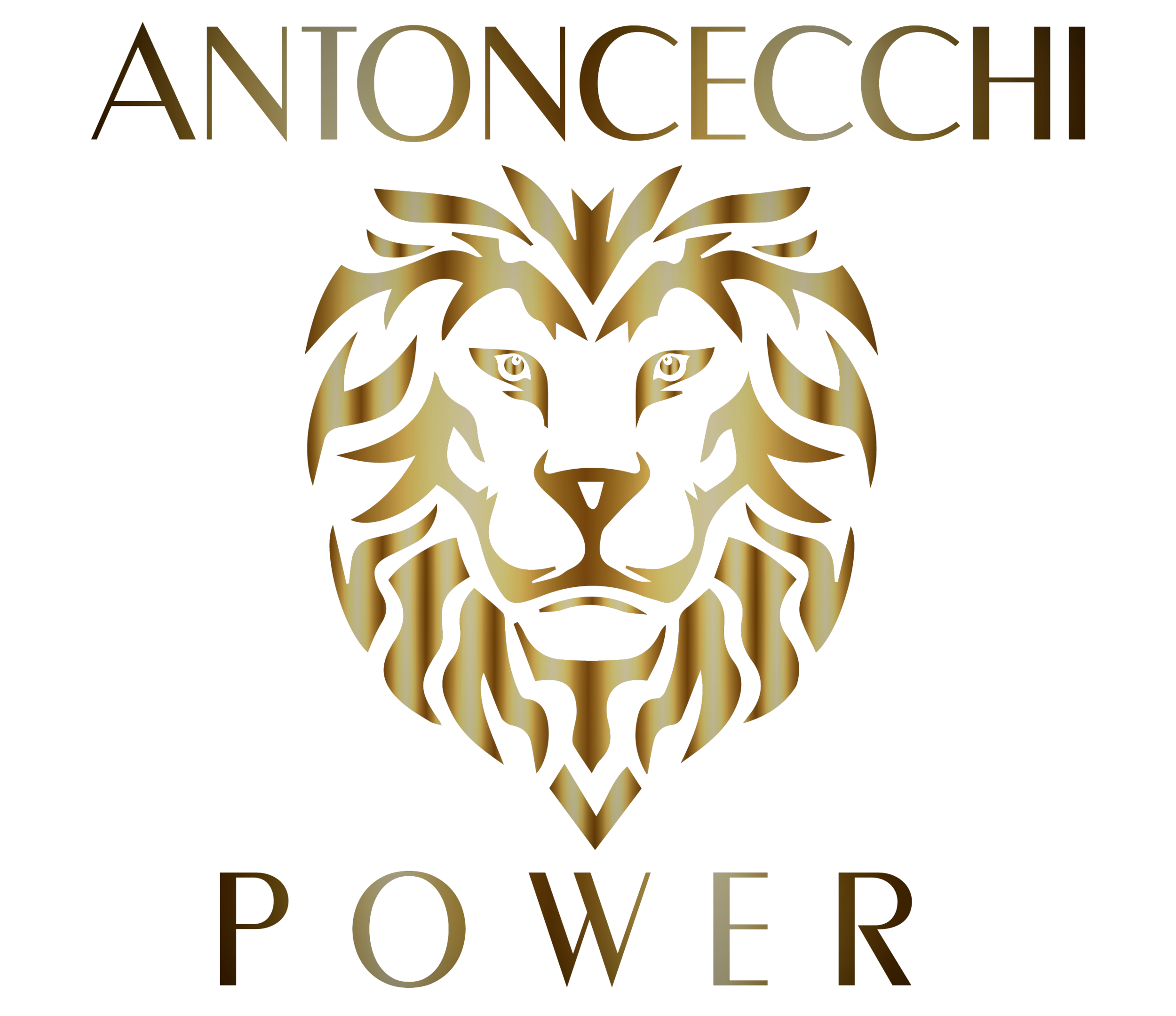Antoncecchi-Power-banner.png