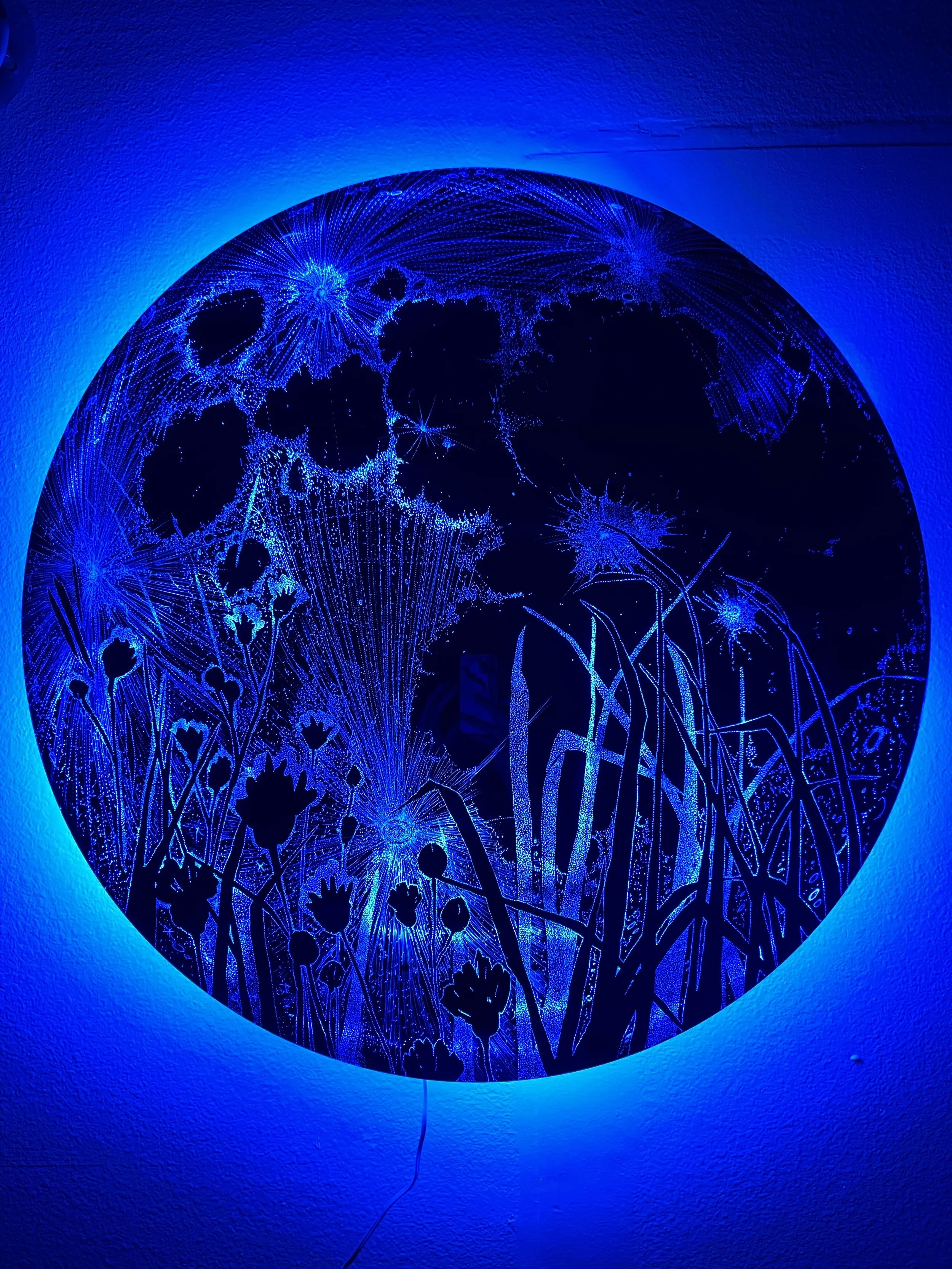 "The Storytellers", By Leticia Maldonado Opens At The Museum Of Neon Art