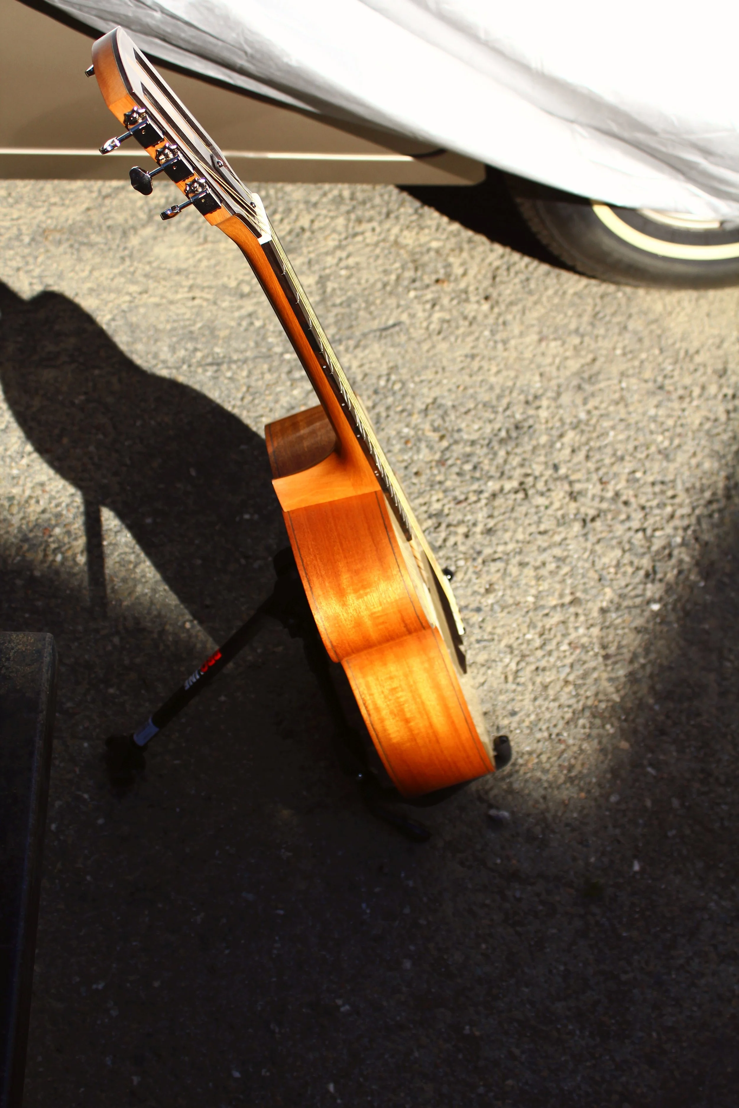 mahogany guitar in profile
