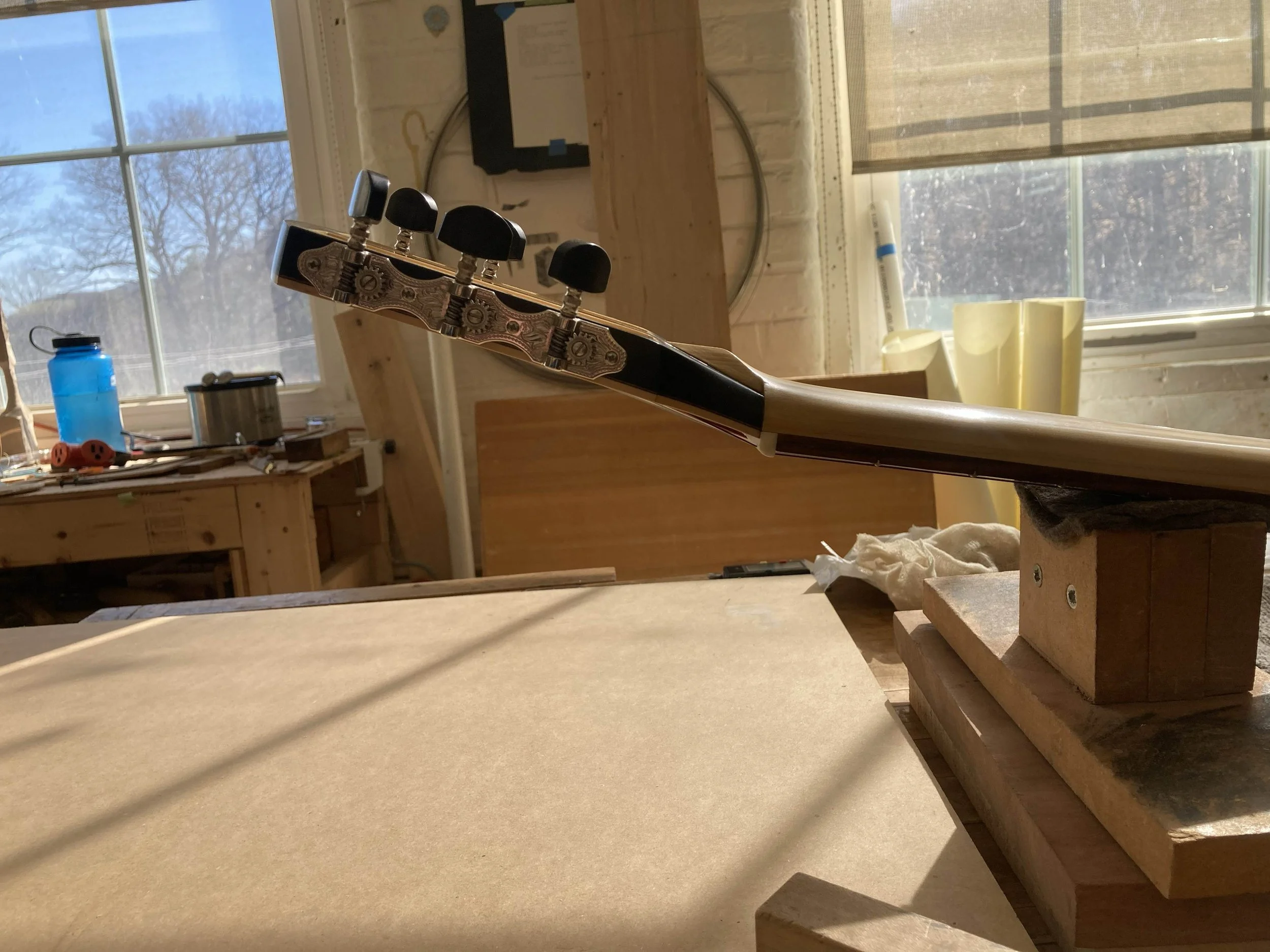 A Queen City Guitars birds beak joint headstock on a classical guitar seen from the side on shows the complex geometry of the headstock and the strong contrast of the ebony tuning knobs and black finish with the yellow cedar neck.