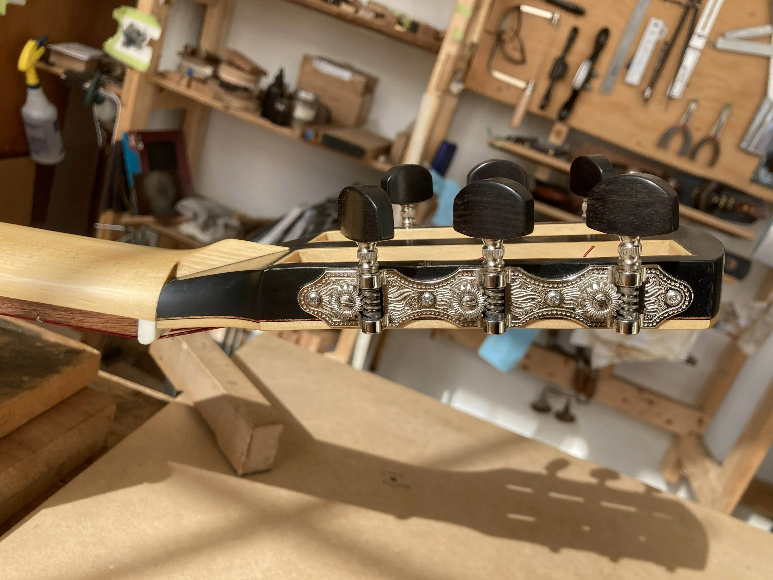 A bridle joint headstock seen from the side onshows off the back birds beak portion of the joint in Alaskan yellow cedar contrasting with headstock lampblack and oil finish.  The angle also highlights similar contrast in the string slots of guitar.