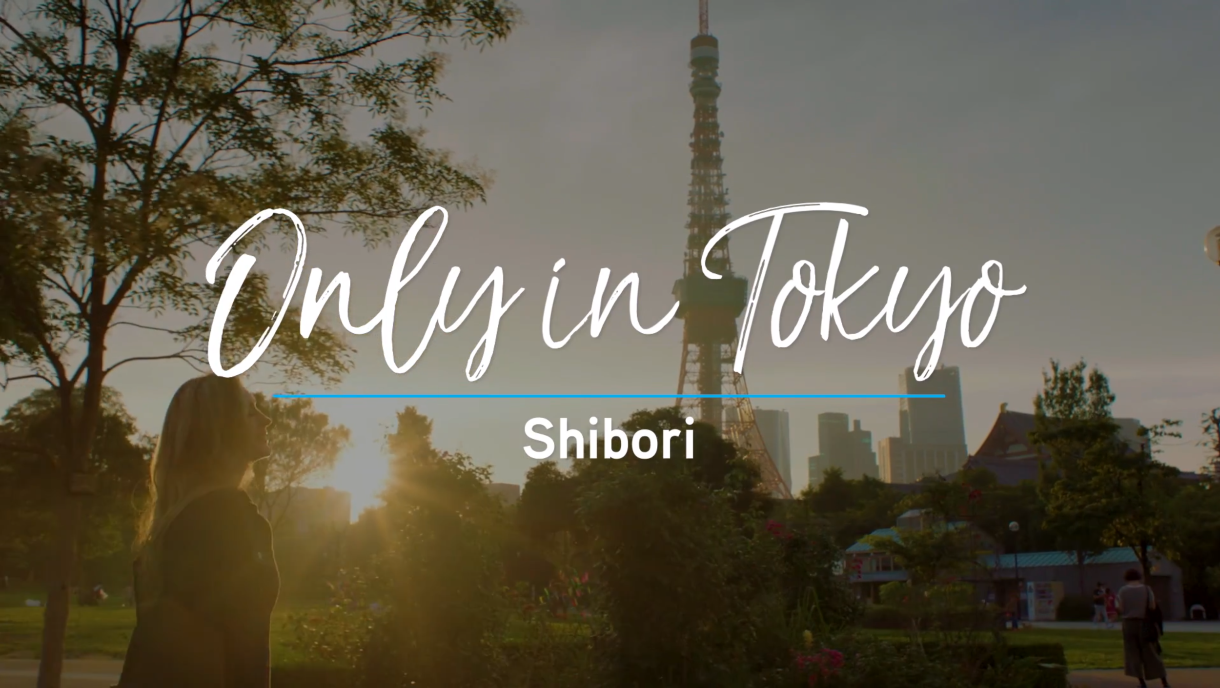 ONLY IN TOKYO.png