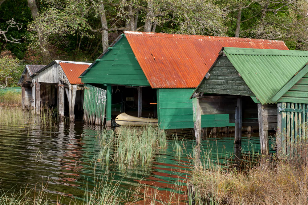 Trossachs-Loch-Ard.jpg