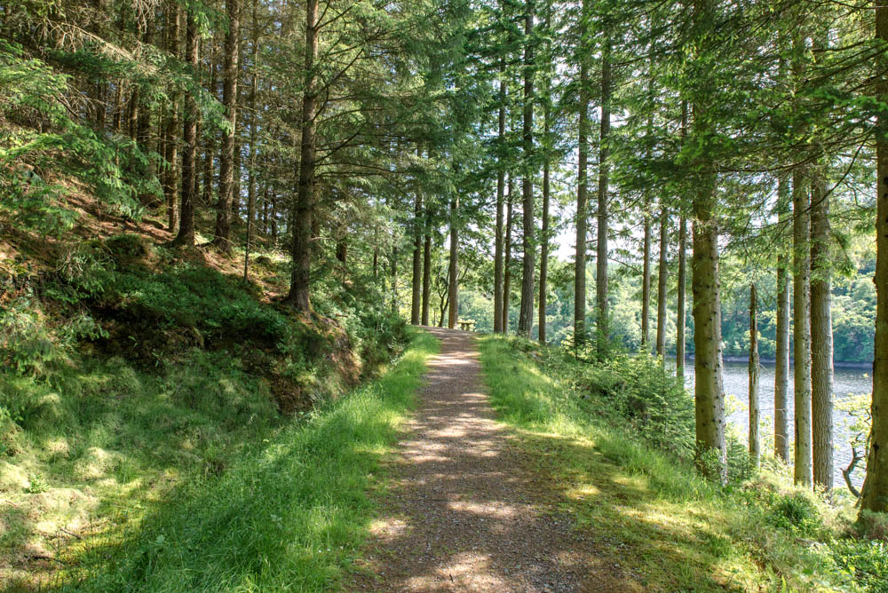 Loch Drunkie Trail