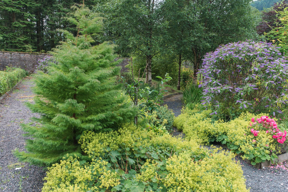 Glenfinnart-Walled-Garden-Ardentinny-Argyll-Forest-Park-2096.jpg